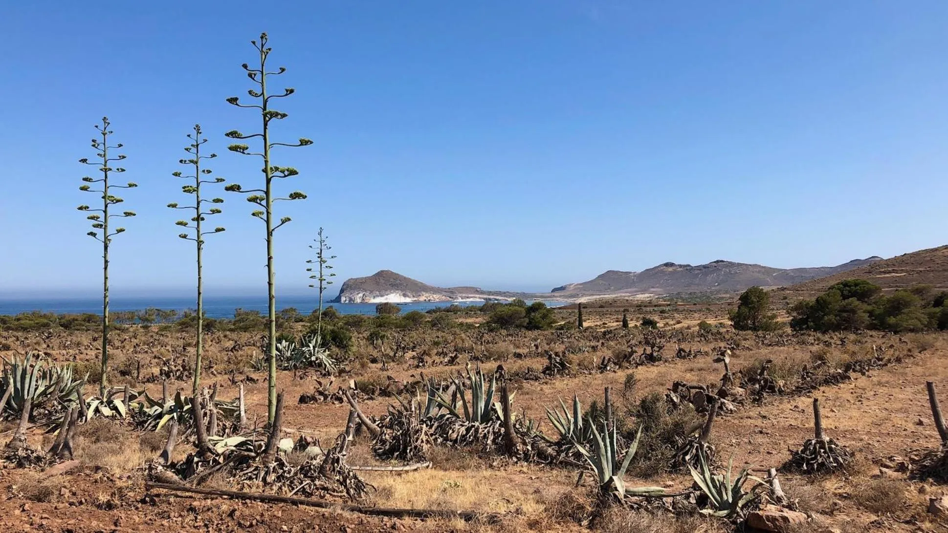 CASABAH bed & breakfast