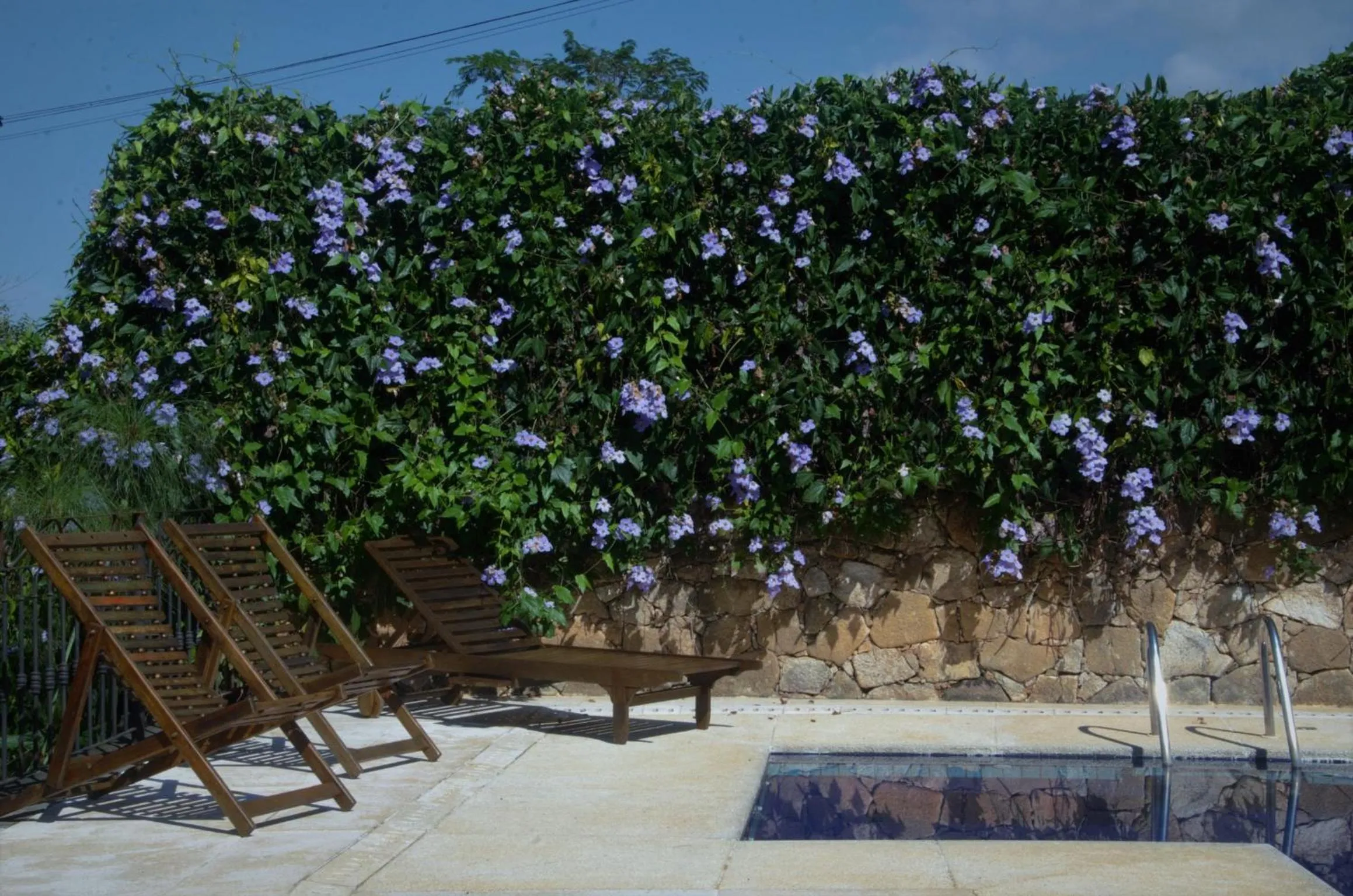 Swimming pool in Pousada Araujo Bazilio