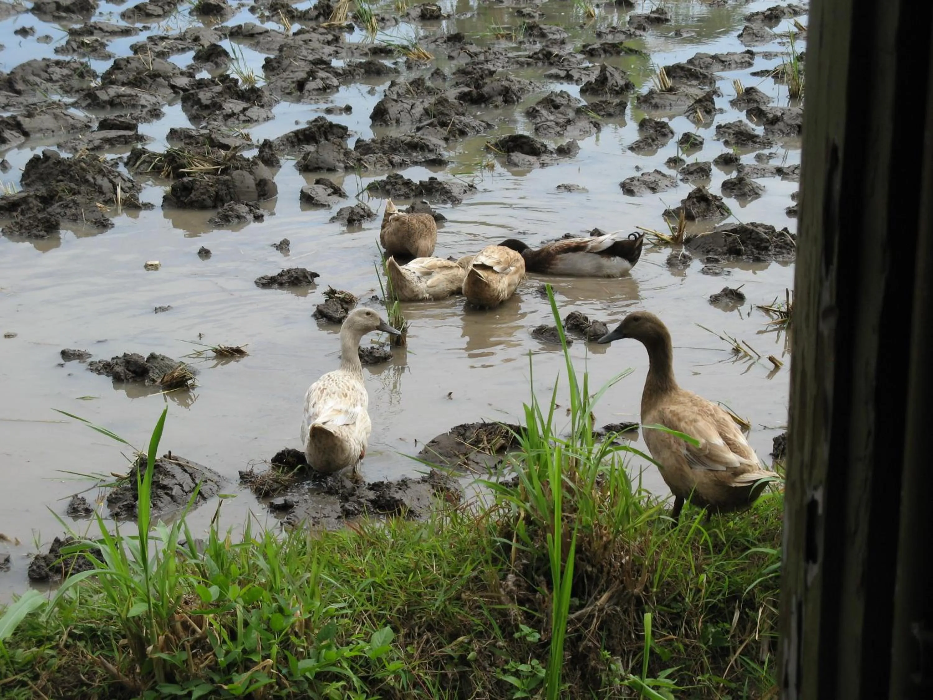 Property building in Villa Agung Beach Inn