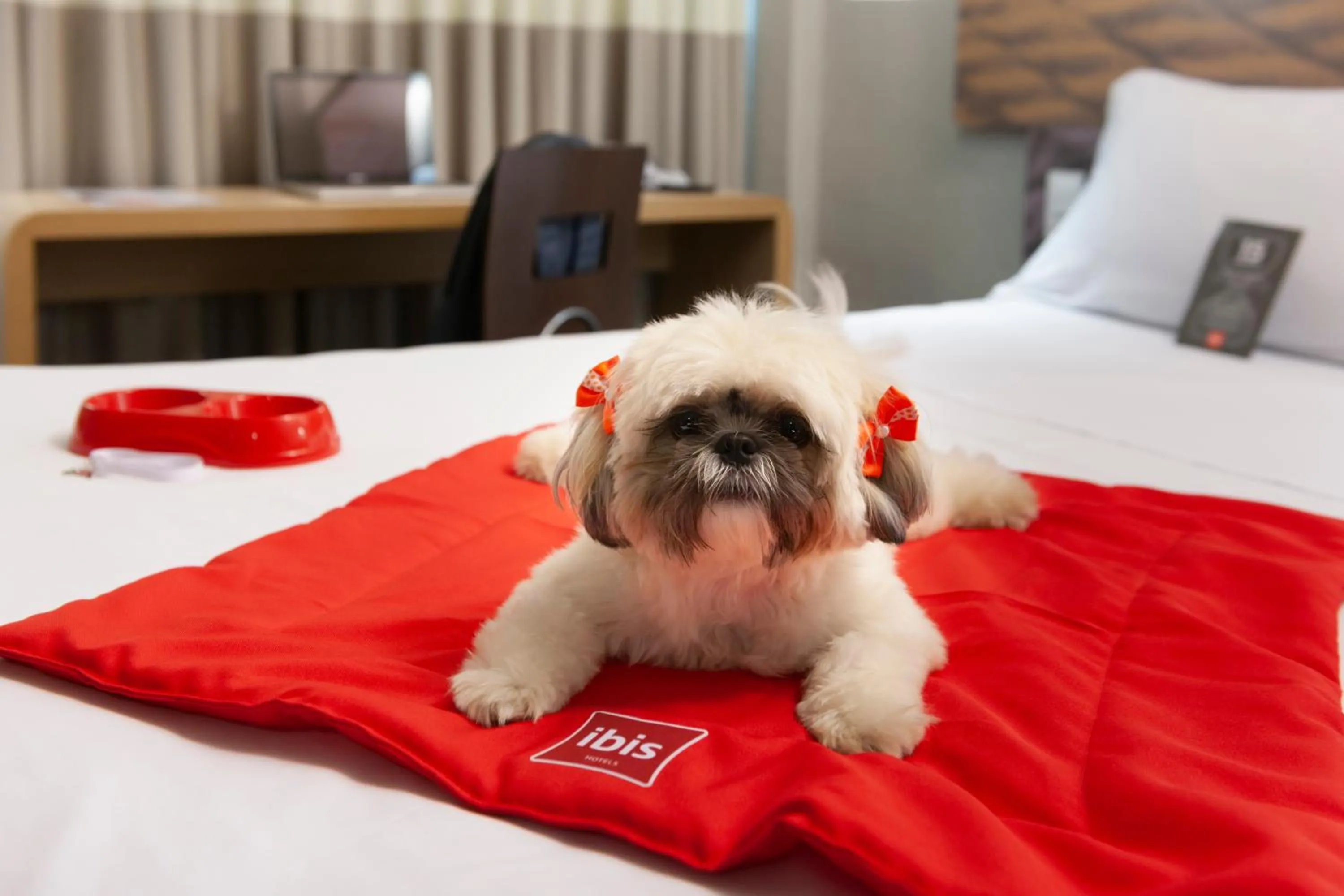 Pets, Bed in Ibis Teresina