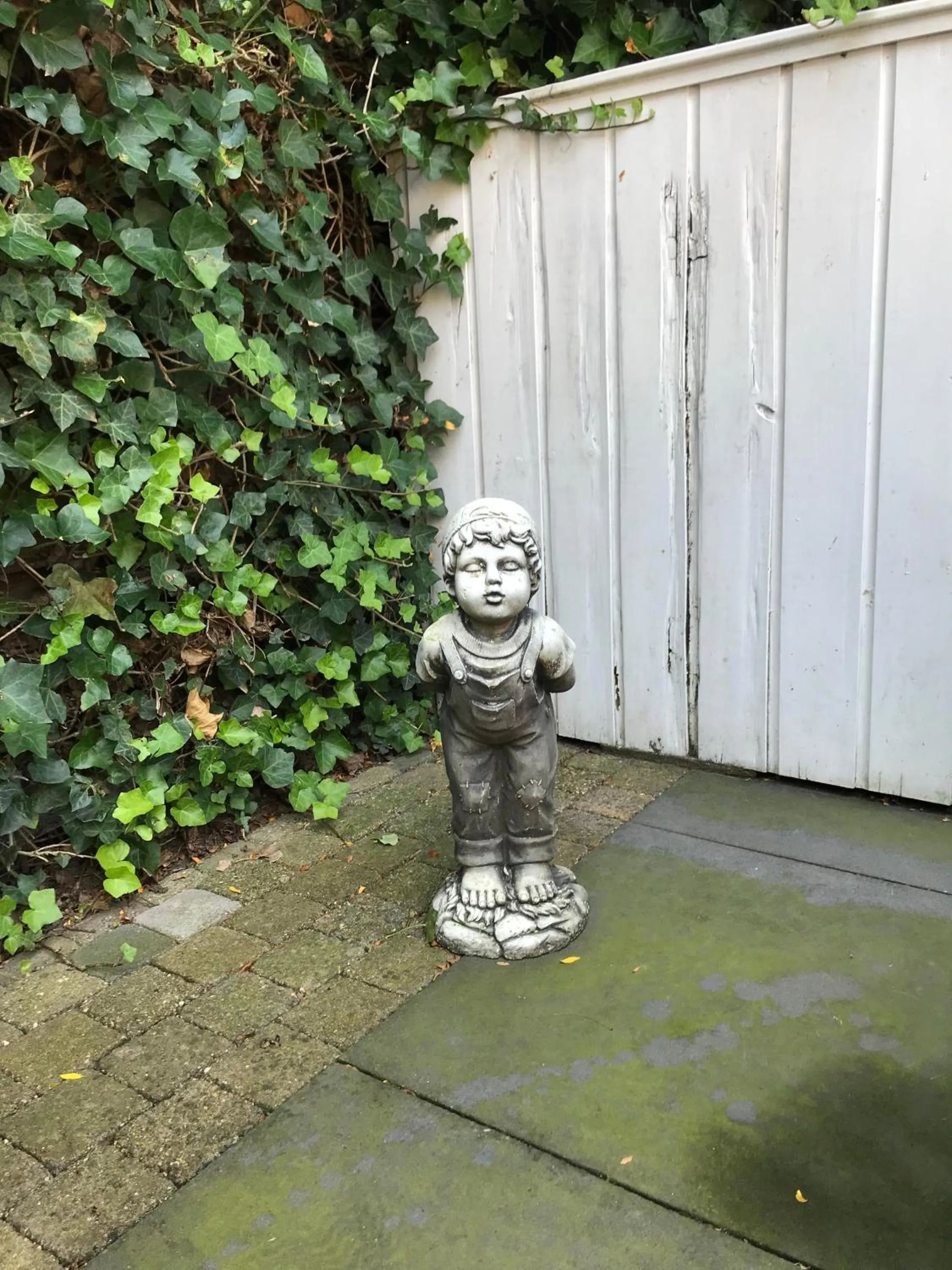 Garden in Villa Pats