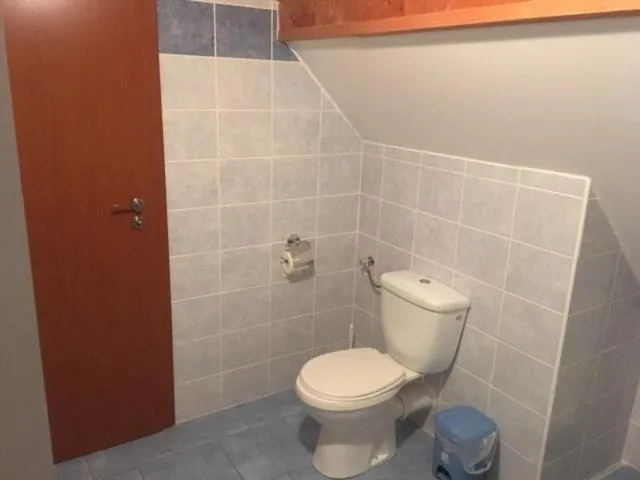 Toilet in Hotel Anenský mlýn