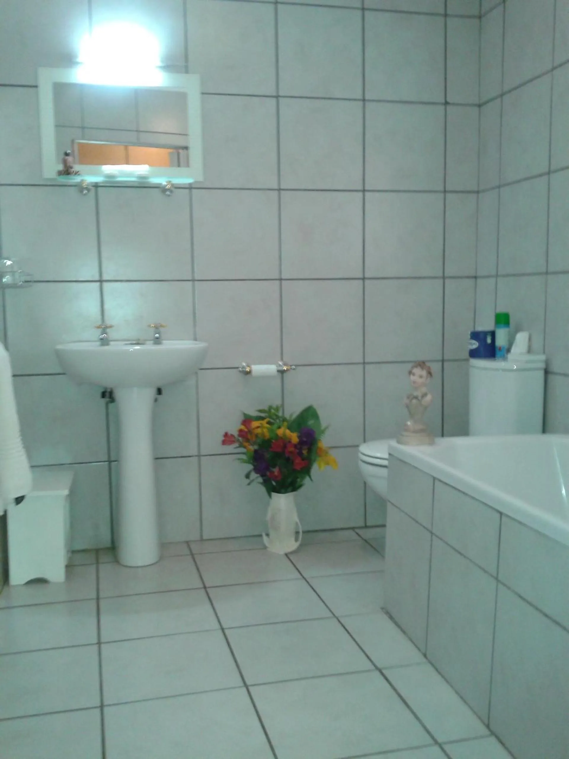 Bathroom in Shamrock Arms Guest Lodge