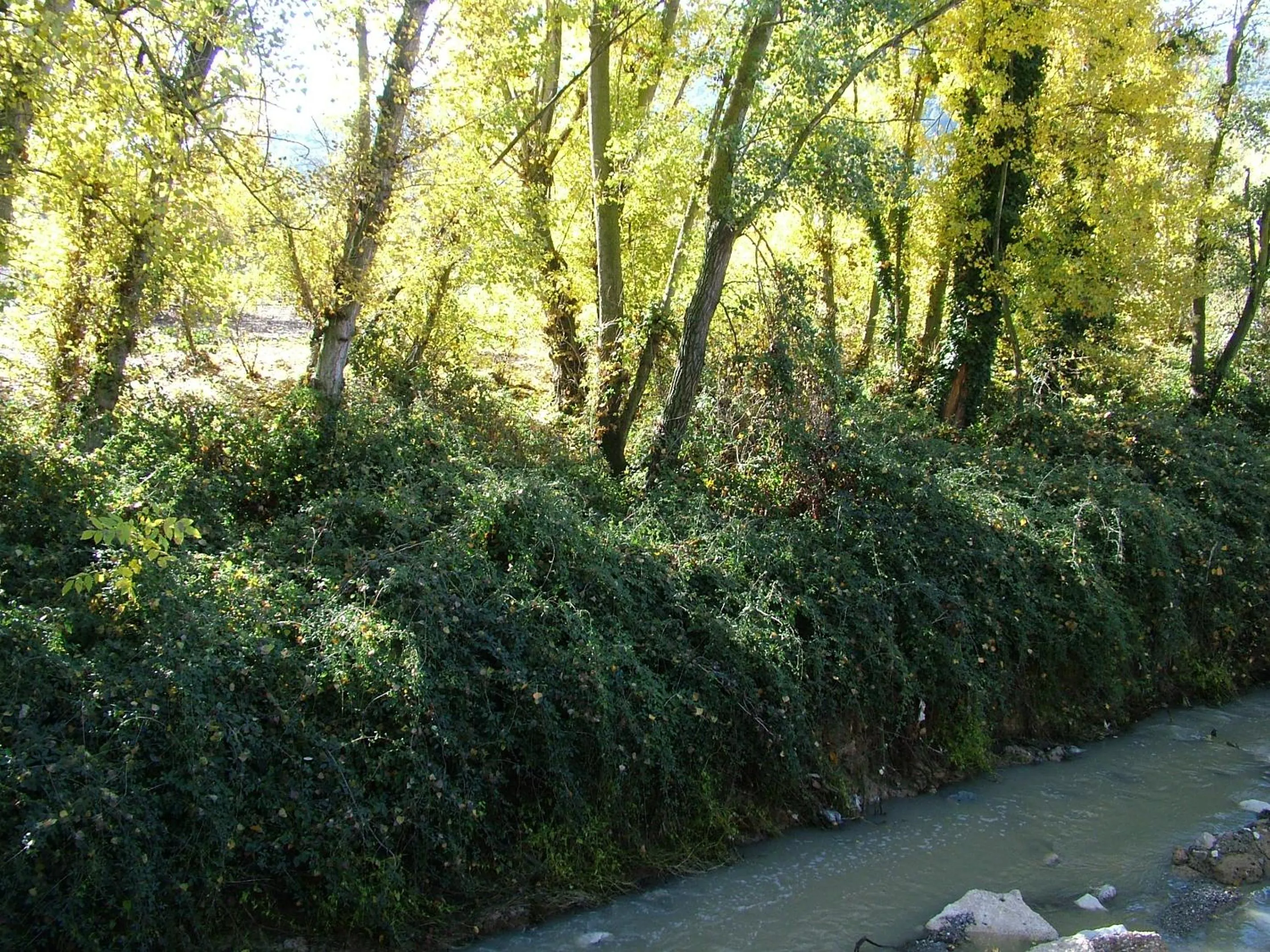Natural landscape in Hotel Río Piscina