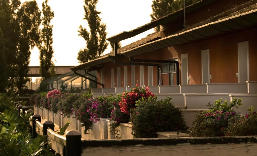 Patio in Il Casale Corte Rossa