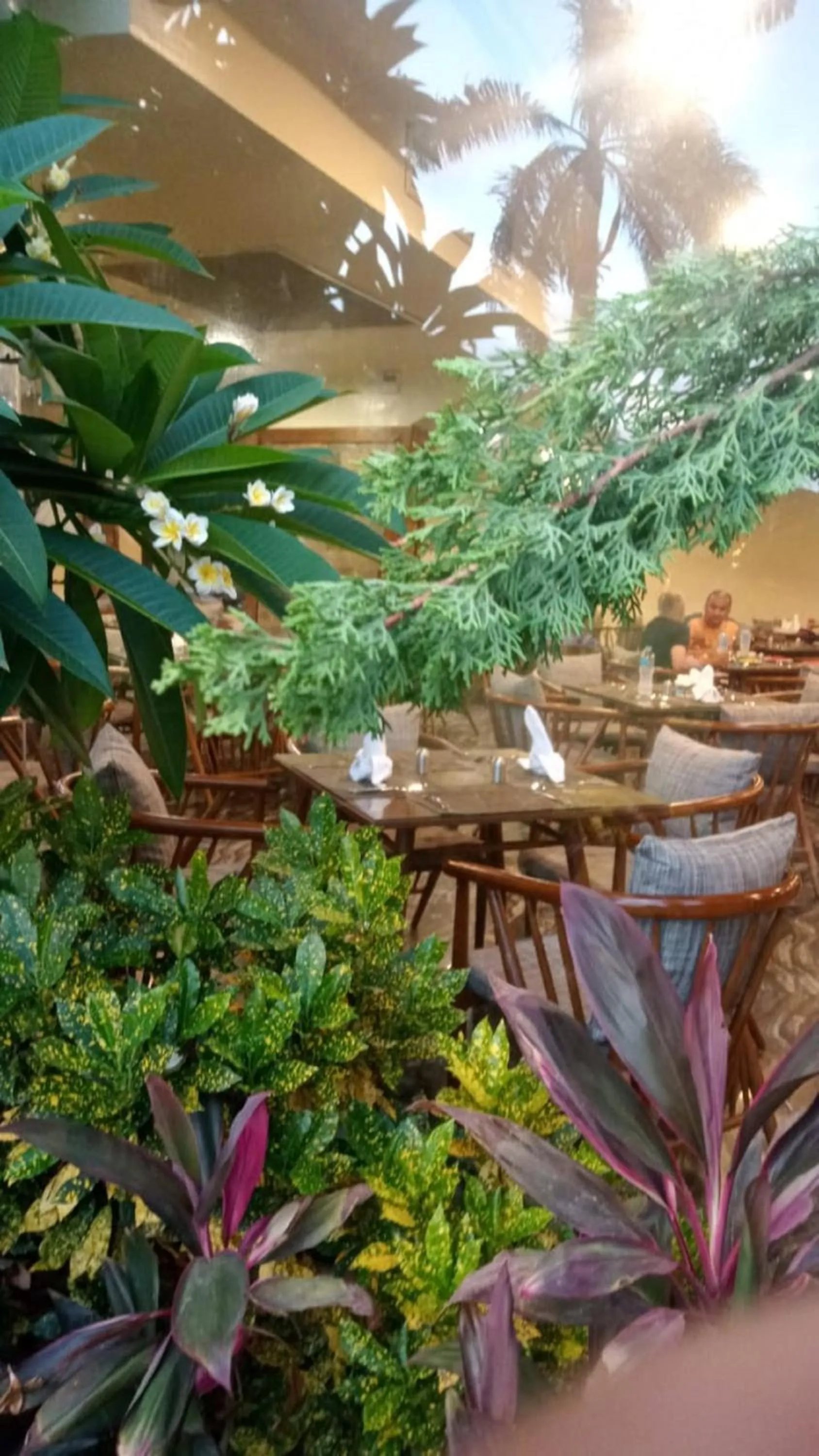 Dining area in Africana Hotel & Spa