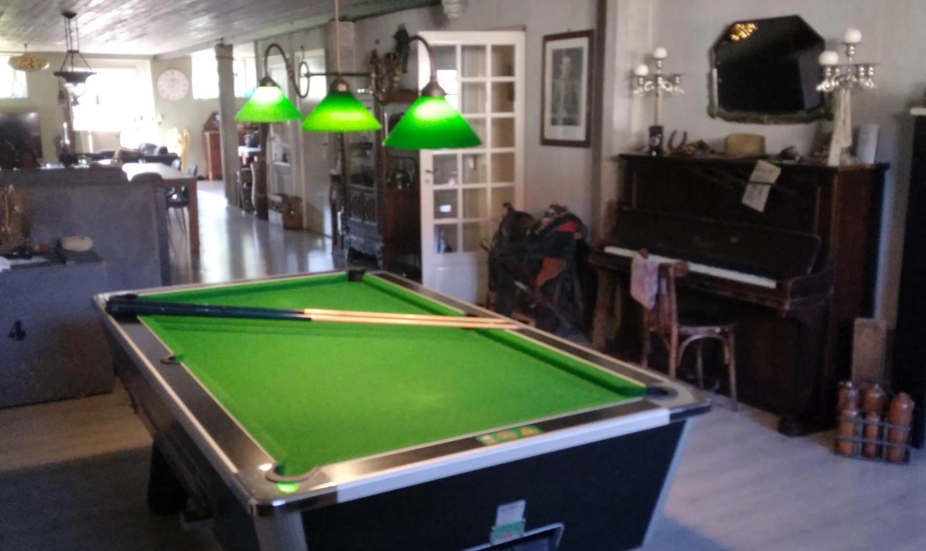 Billiard in Arara
