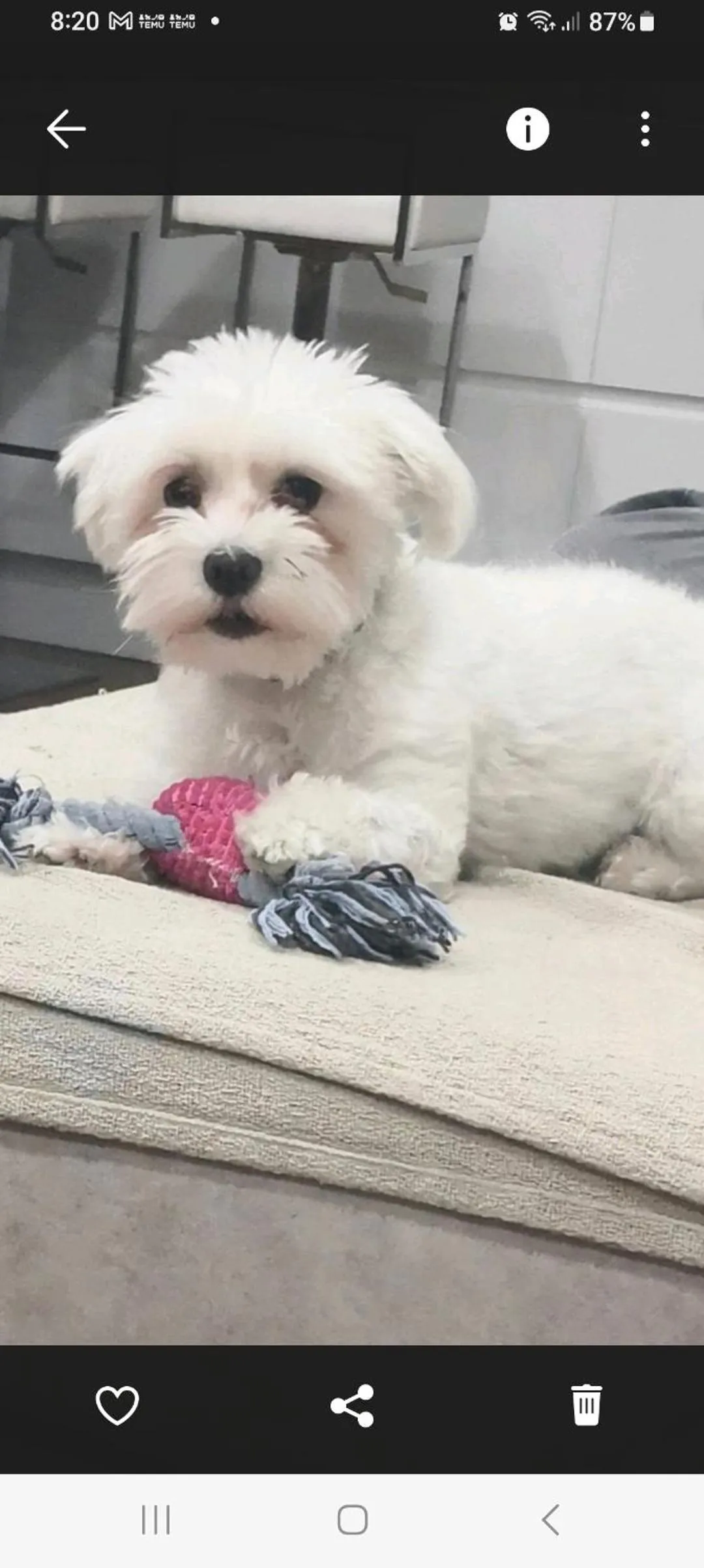 Hotel Ecologico Toral