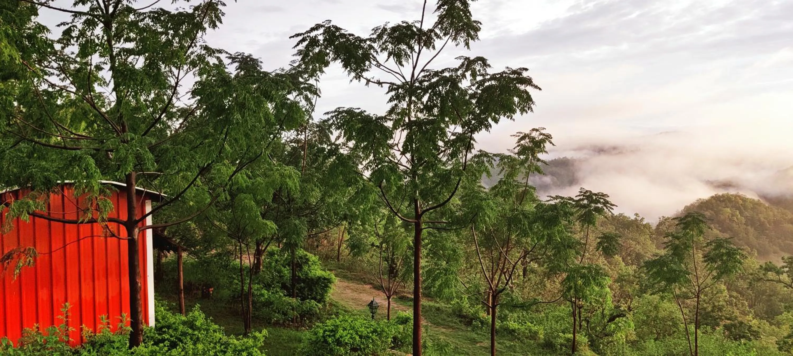 View (from property/room) in LaHermitage Resort