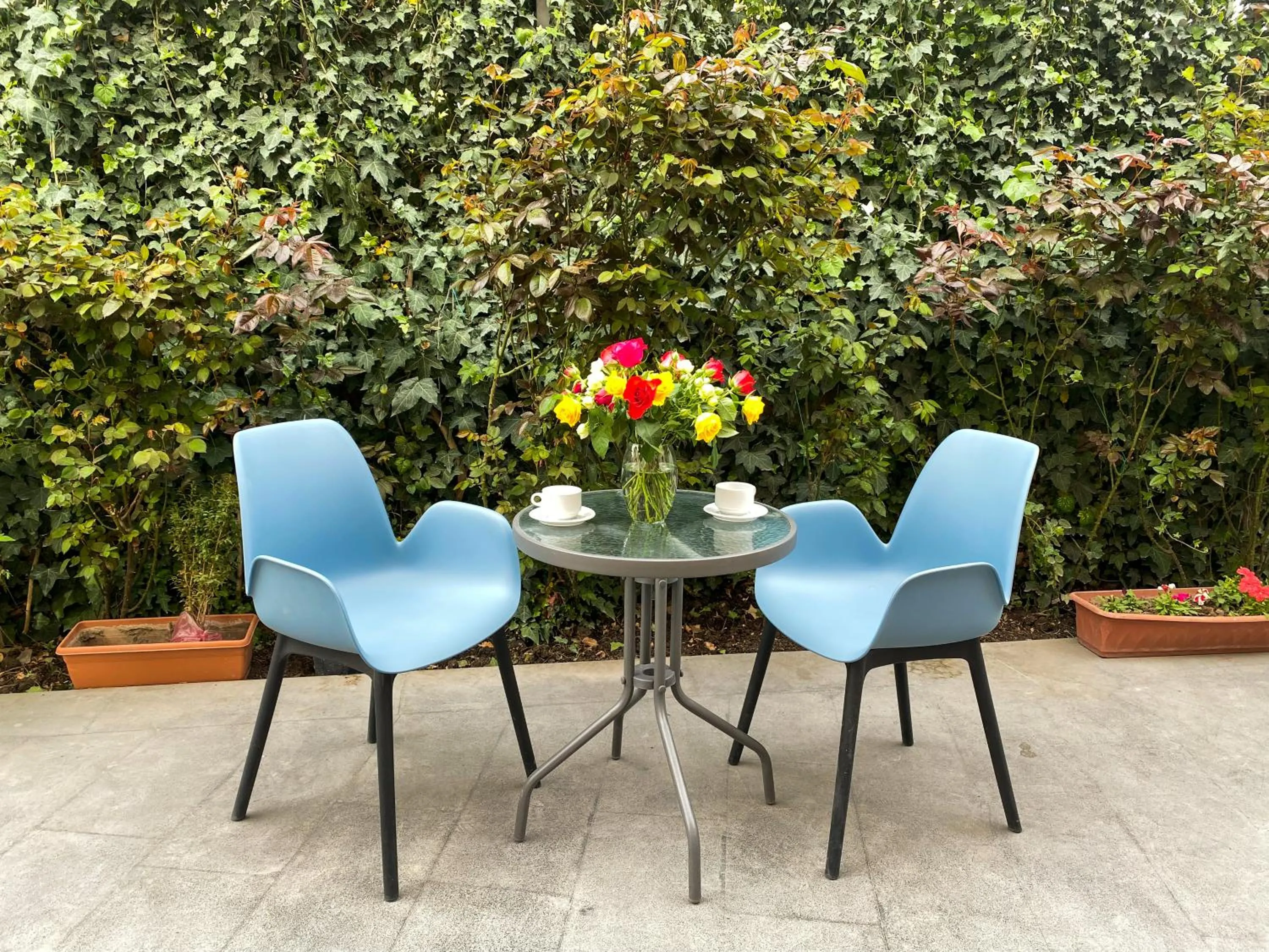 Spring in Alex Hotel