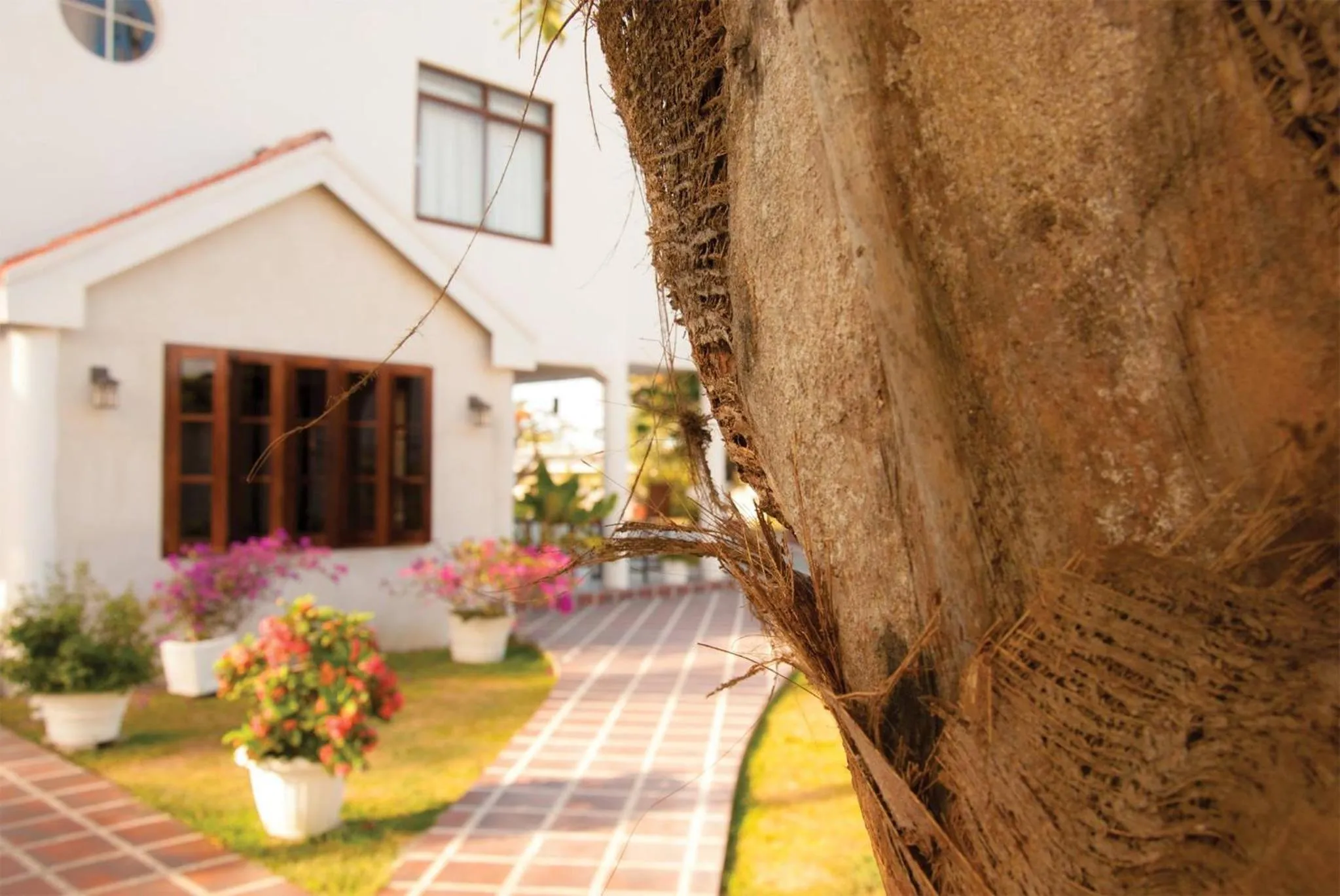 Garden in Herdmanston Lodge Hotel