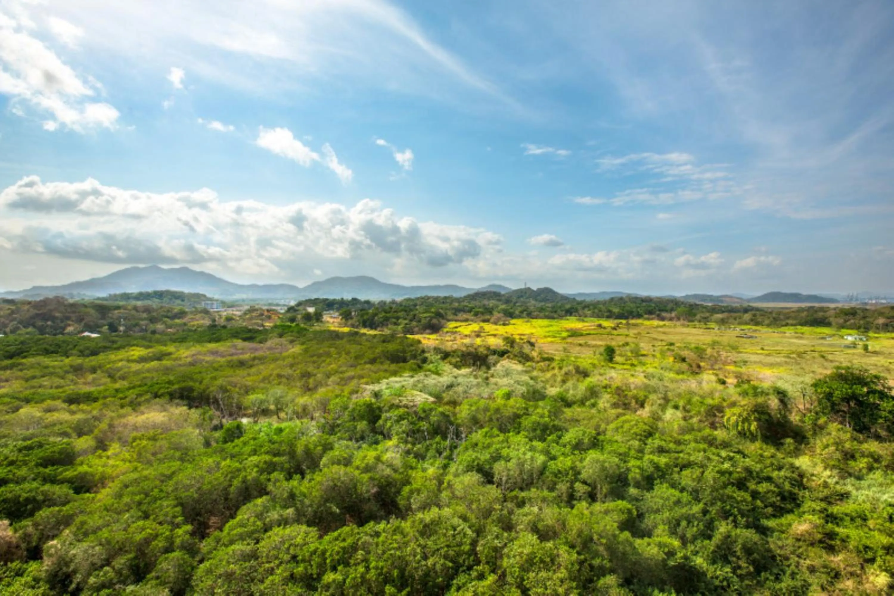 Executive, Club lounge access, Guest room, 1 King, Balcony in The Westin Playa Bonita Panama