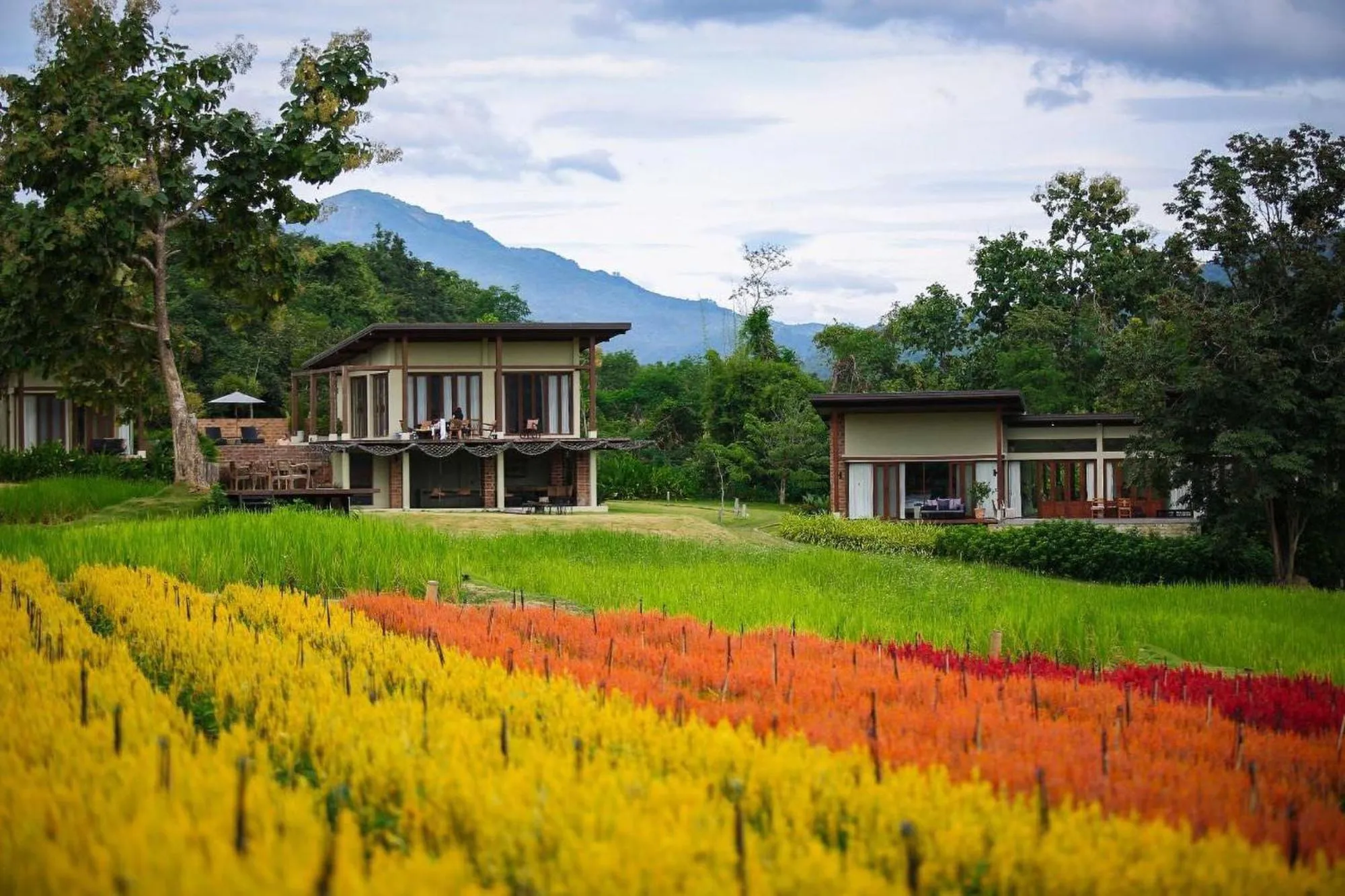 Garden in Puripai Villa Wellness & Retreat