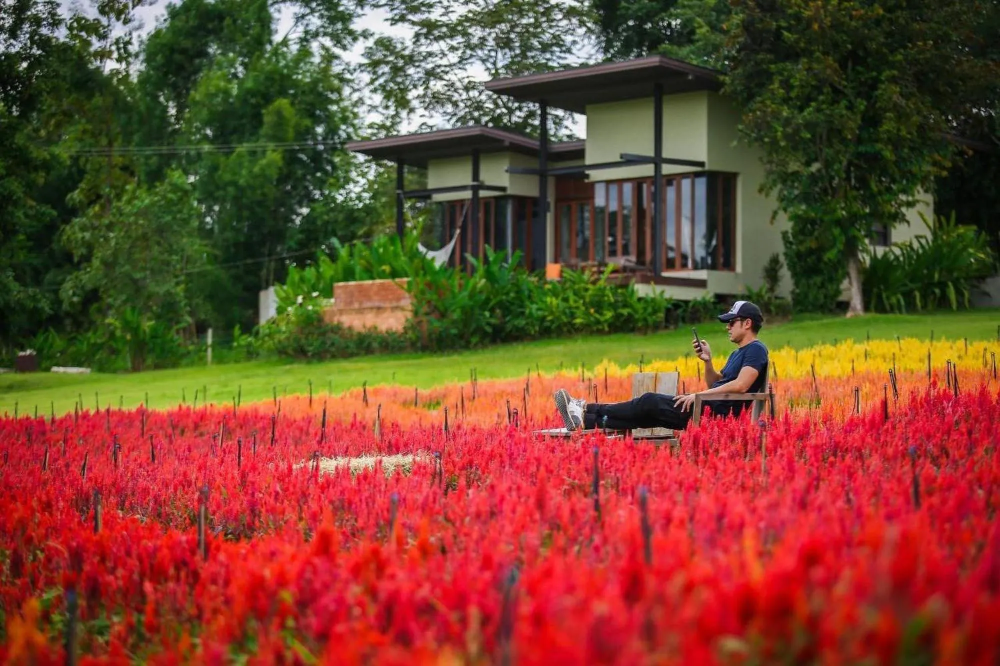 Garden in Puripai Villa Wellness & Retreat