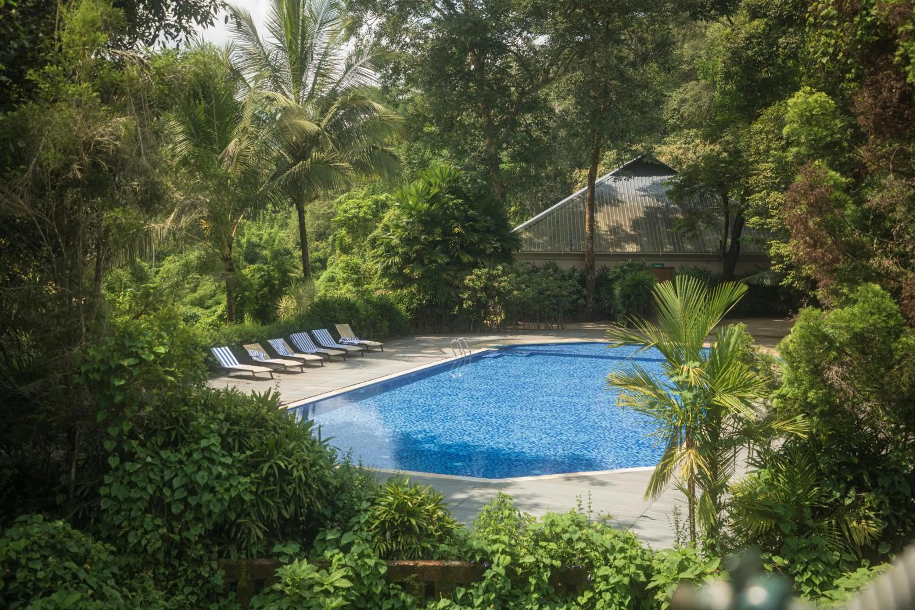 Swimming pool in Vythiri Village