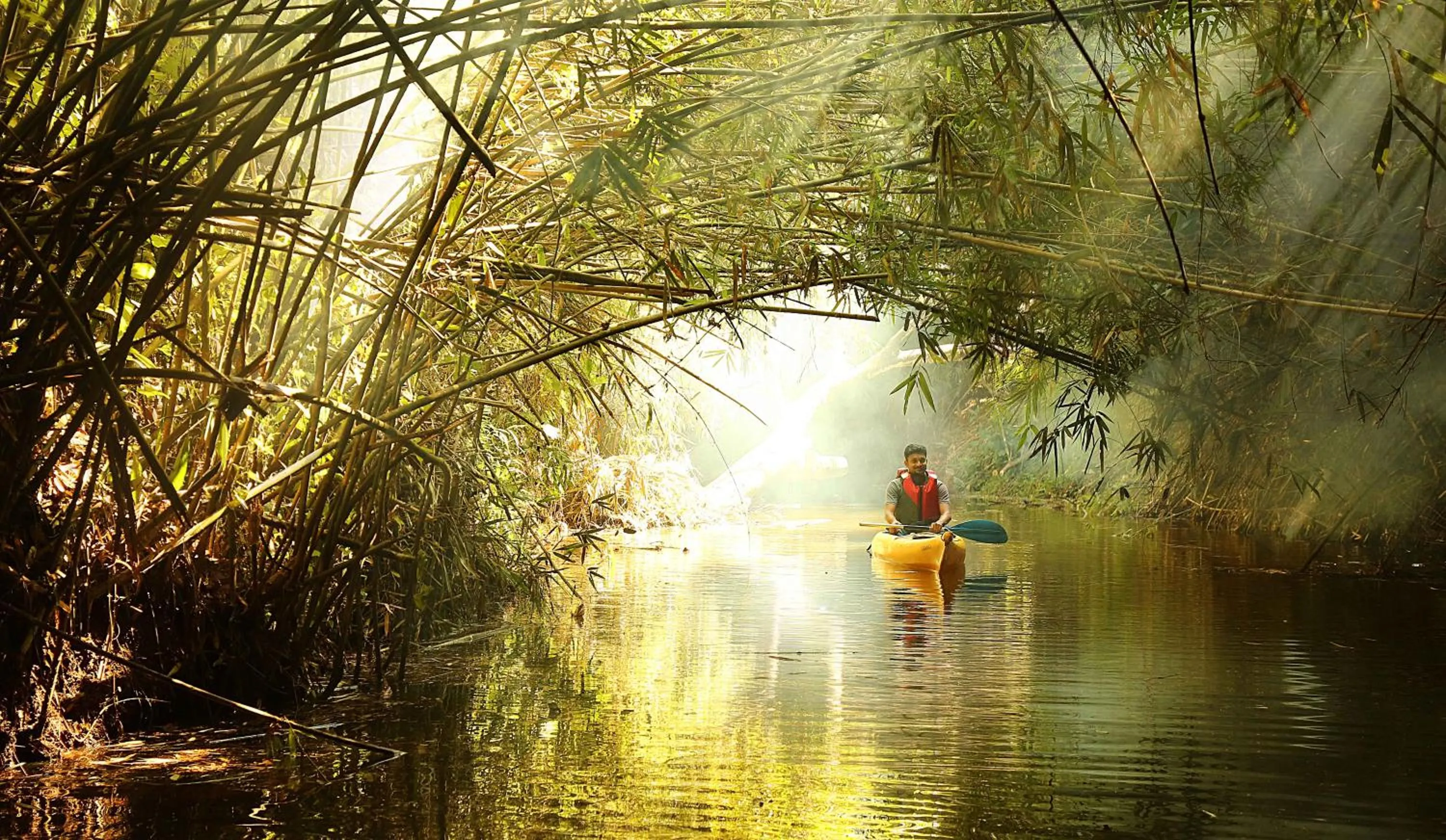 Property building in Vythiri Village