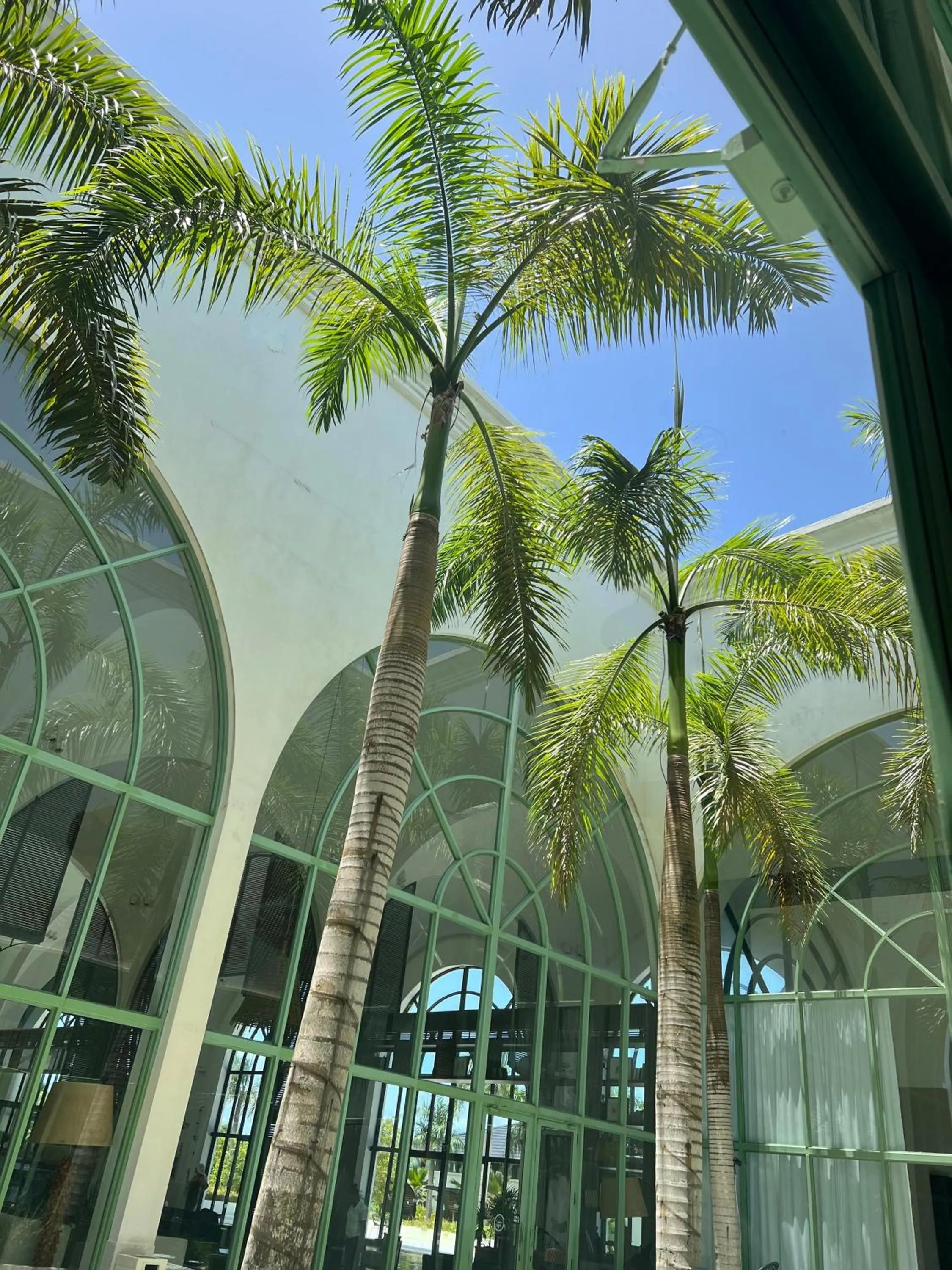 Solarium in Ocean el Faro Resort - All Inclusive