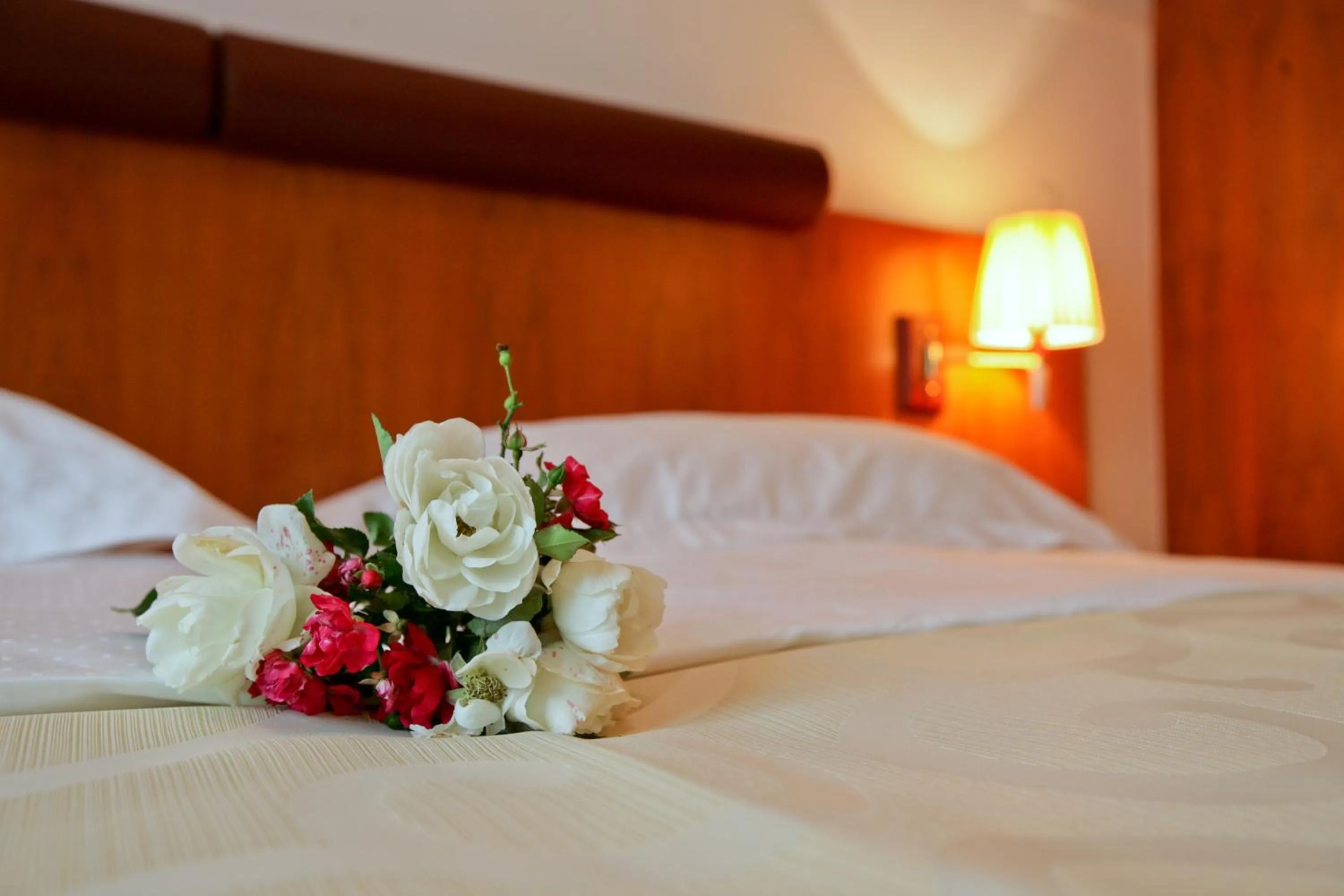 Bed in Hotel Croatia