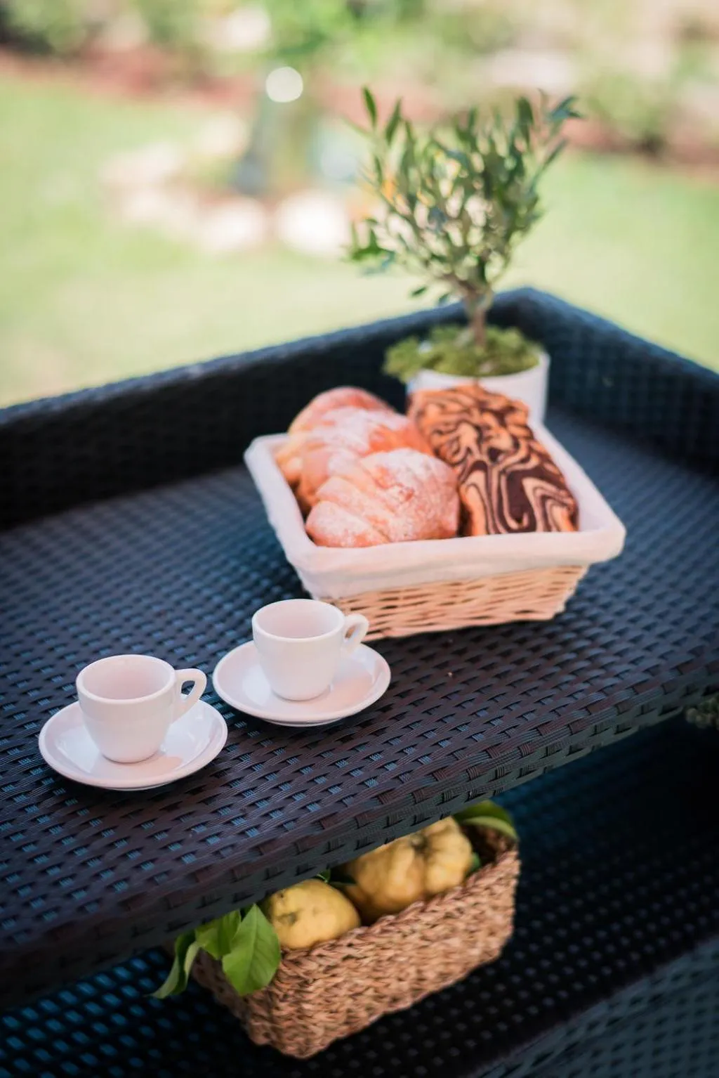 Property building in L'Agrumeto