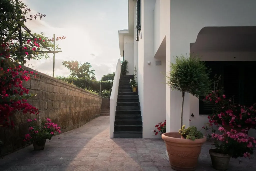 Property building in L'Agrumeto