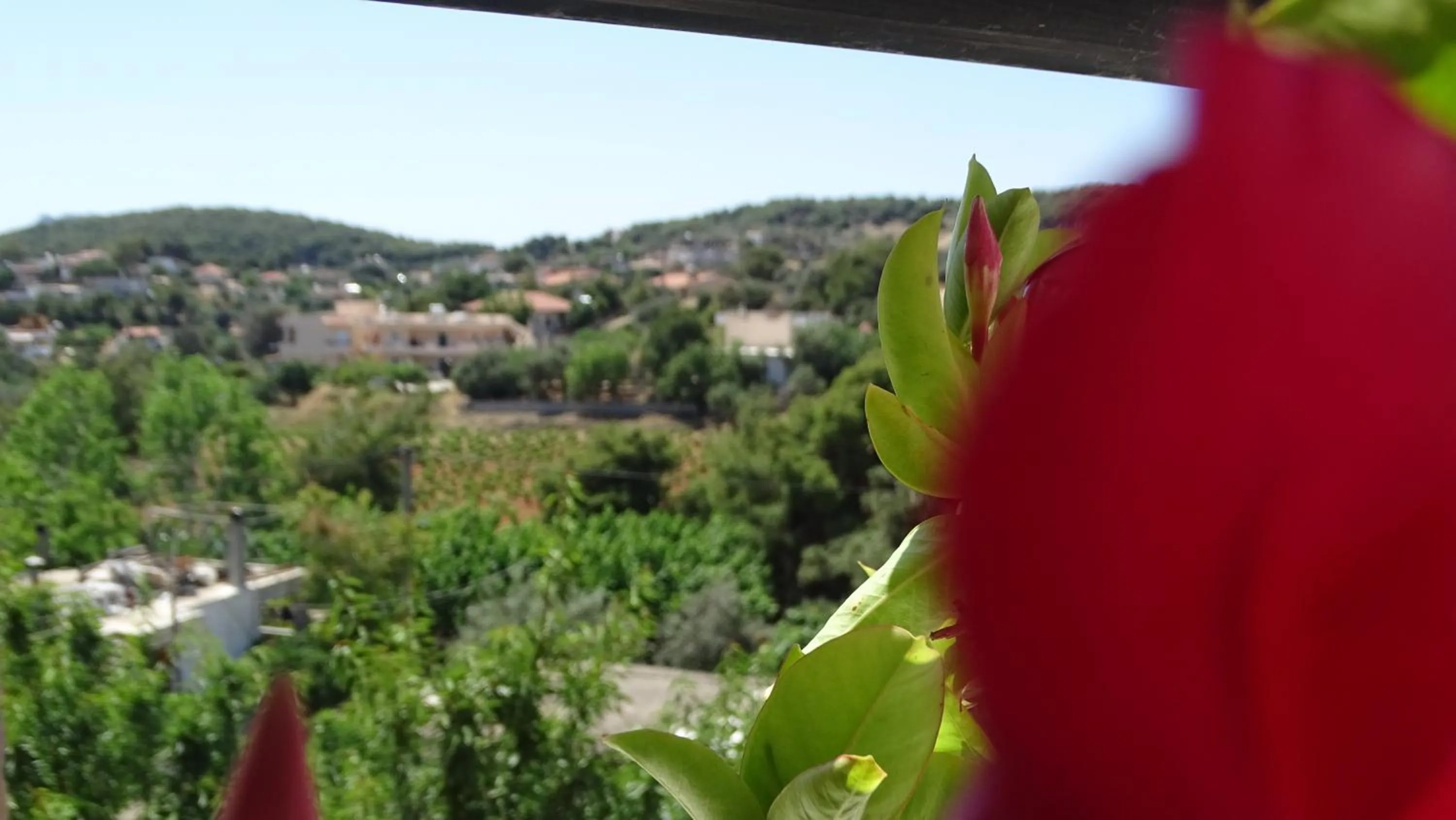 Natural landscape in Artemis GreenHill