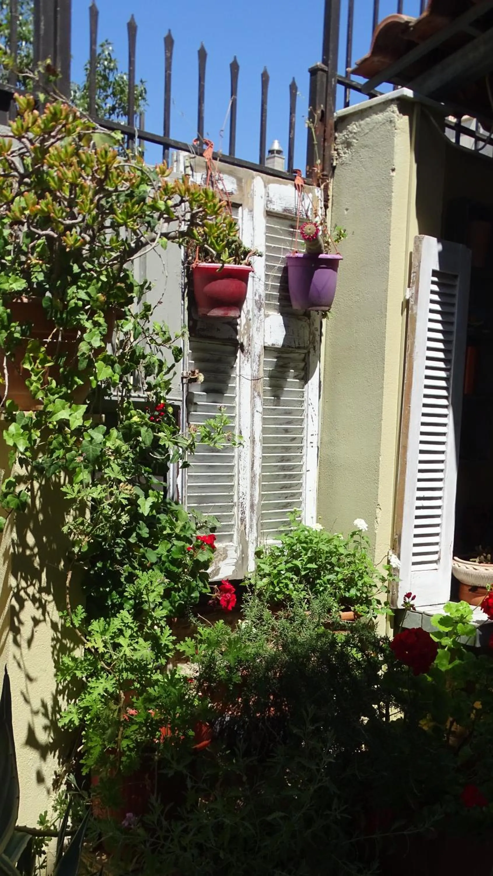 Garden in Artemis GreenHill