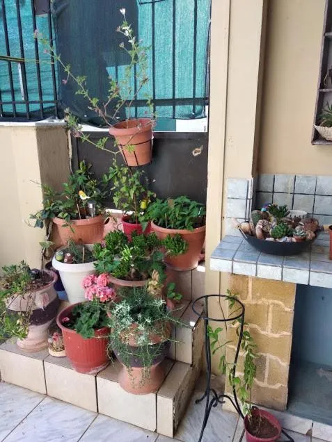 Patio in Artemis GreenHill