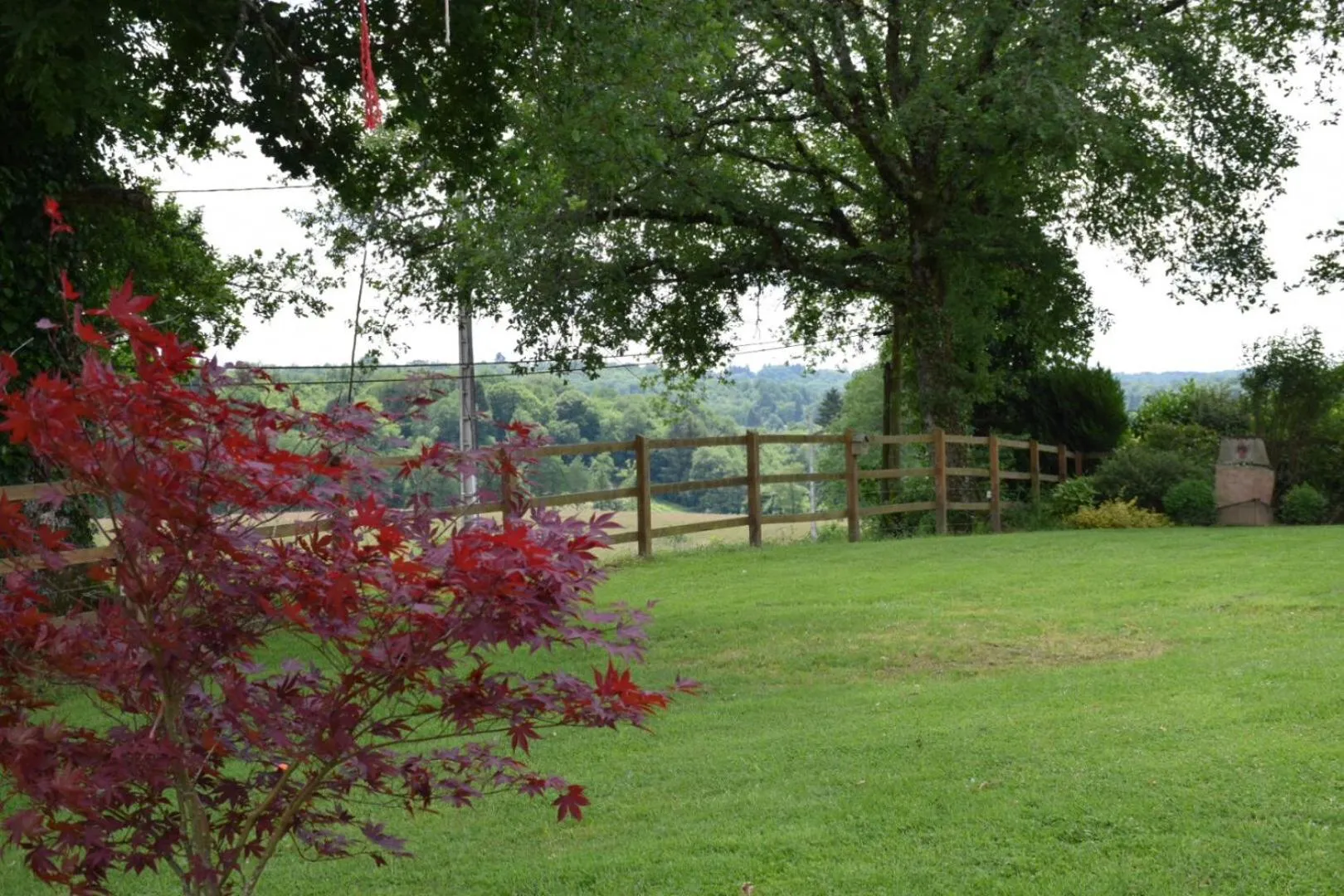 Garden view in Libellule