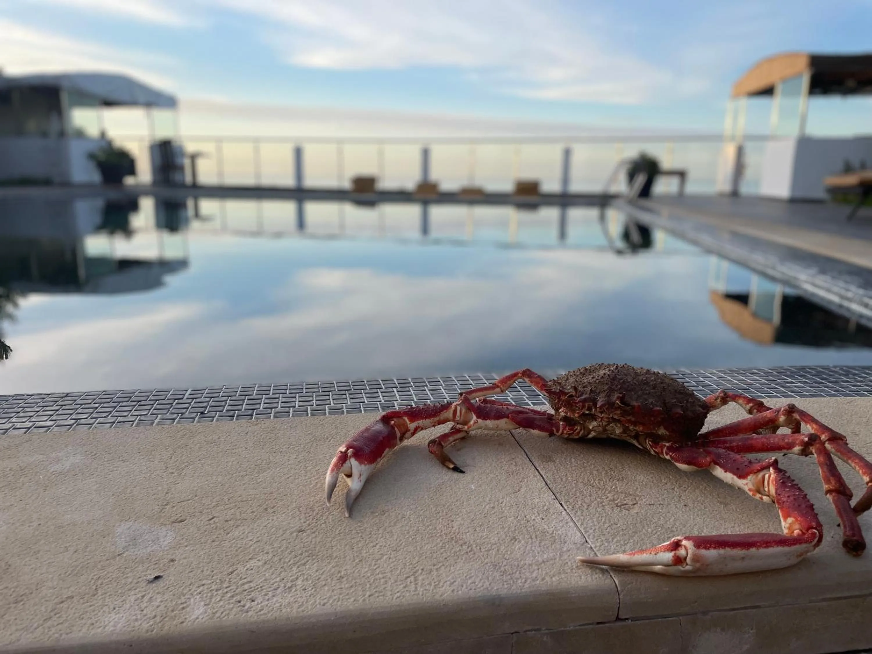 Swimming pool in Auberge Oualidia Dream