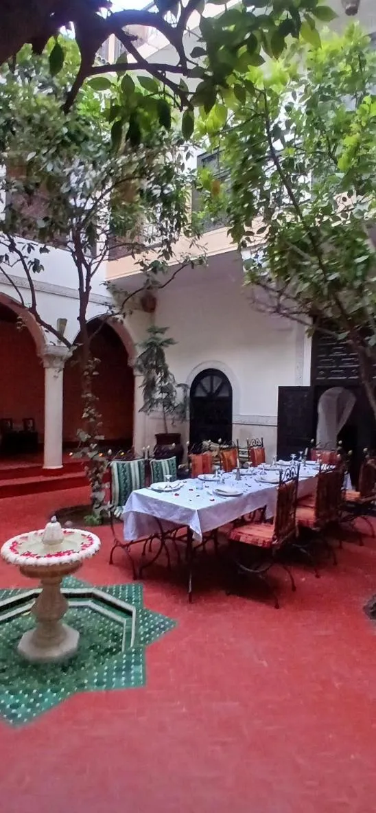 Garden view in Riad Sidi Ayoub