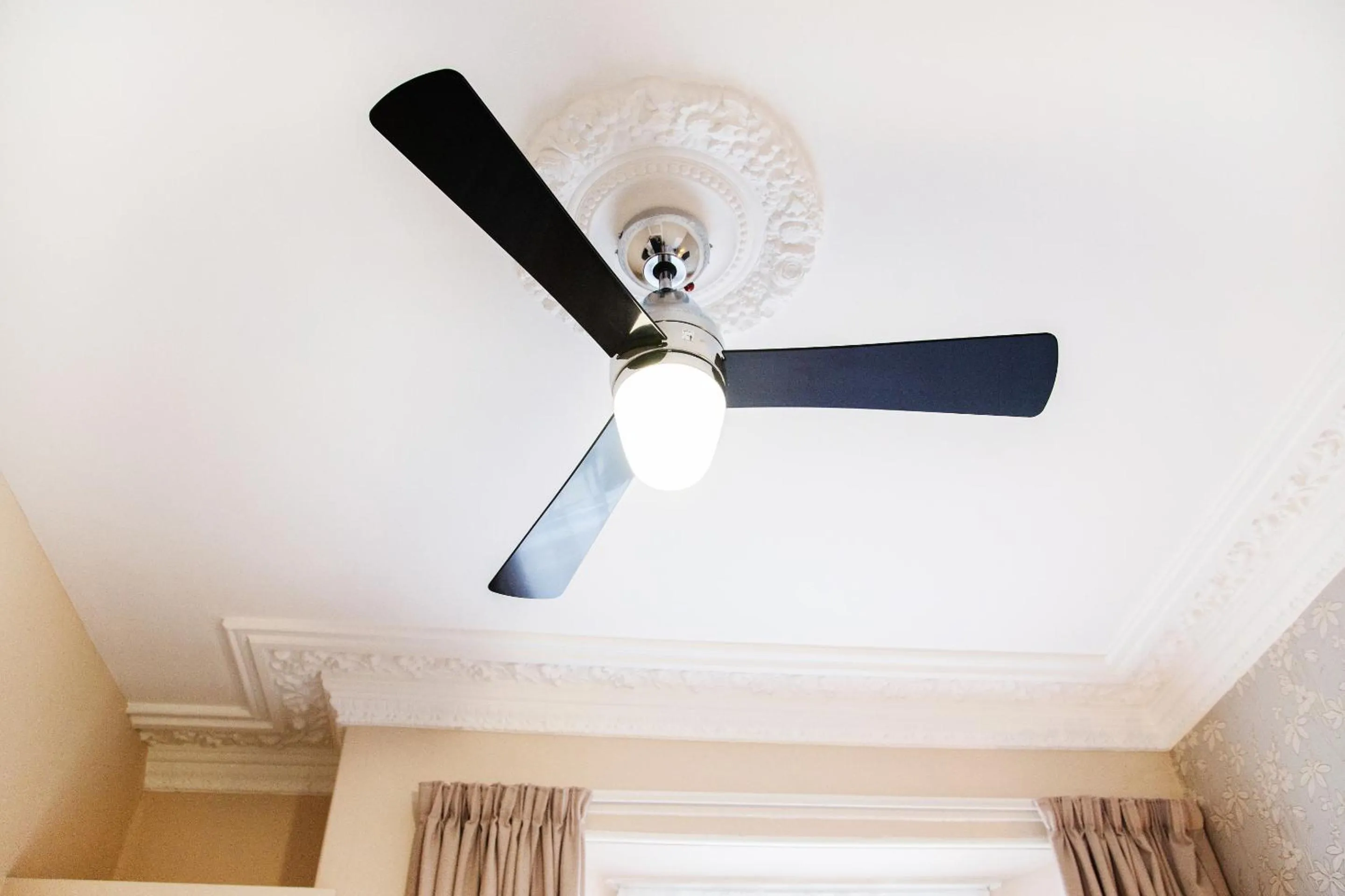 Other in The Montana