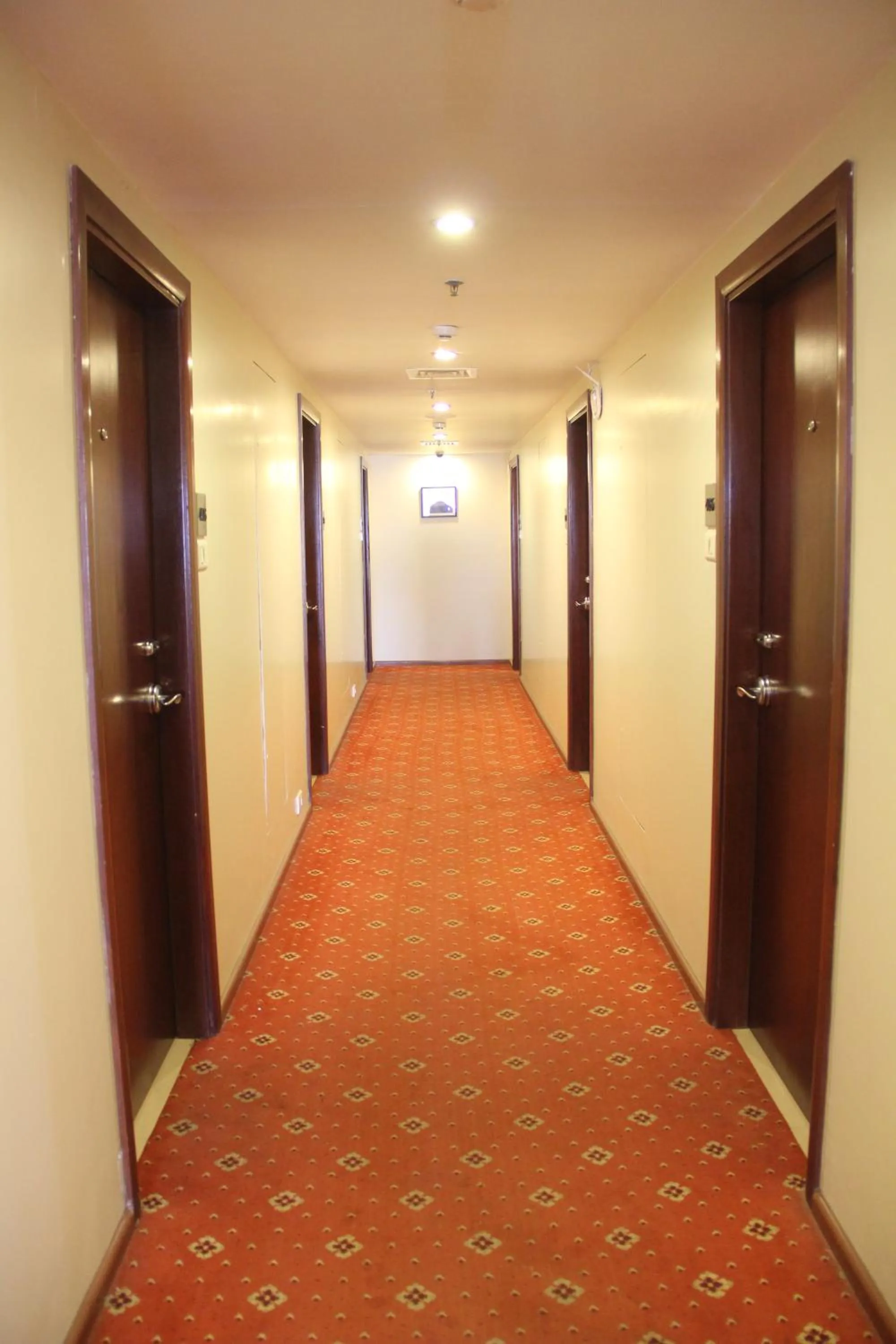 Decorative detail in The Aures (formerly known as Keys Select The Aures)