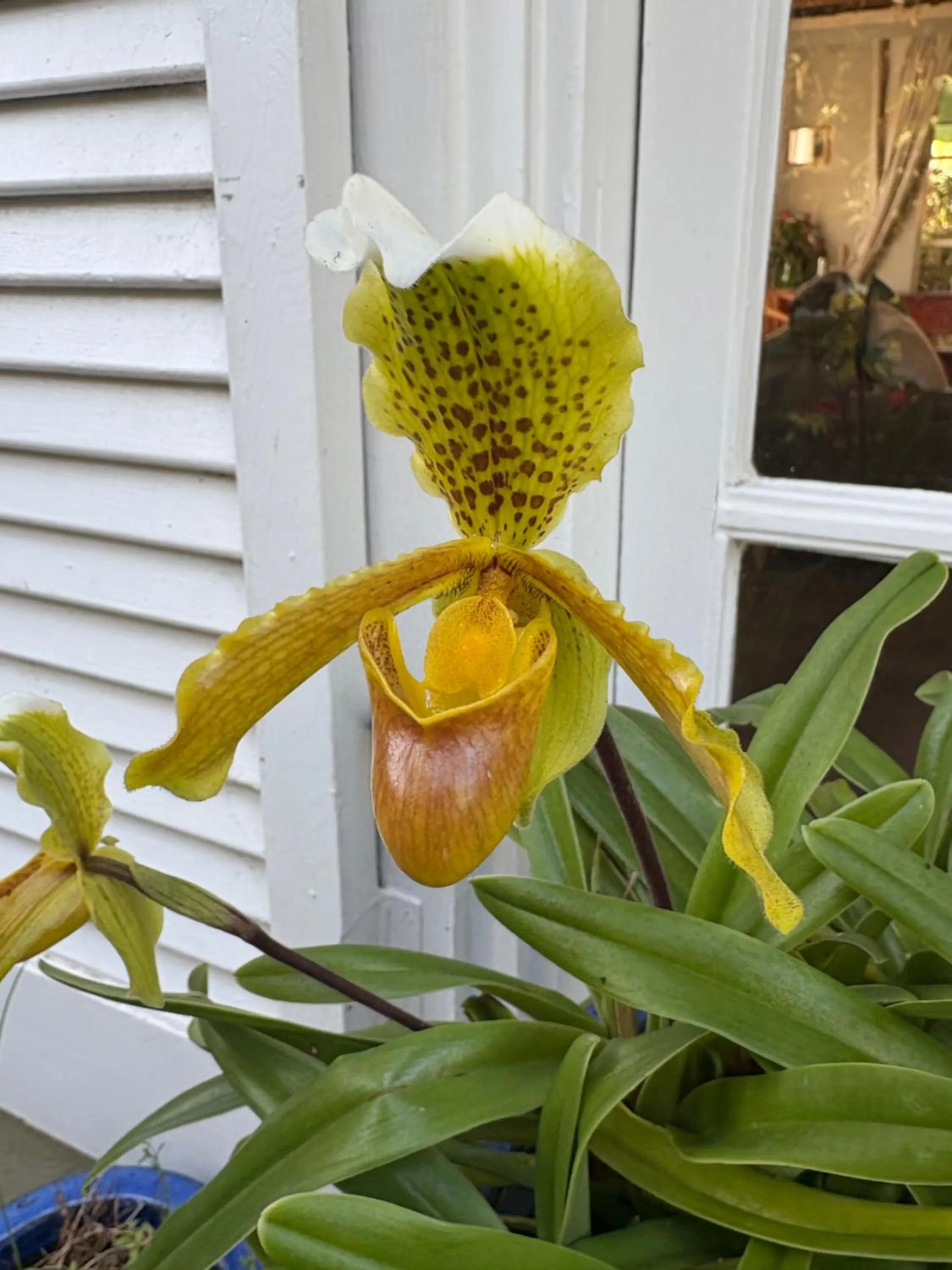 The Castle - Villa by the Sea