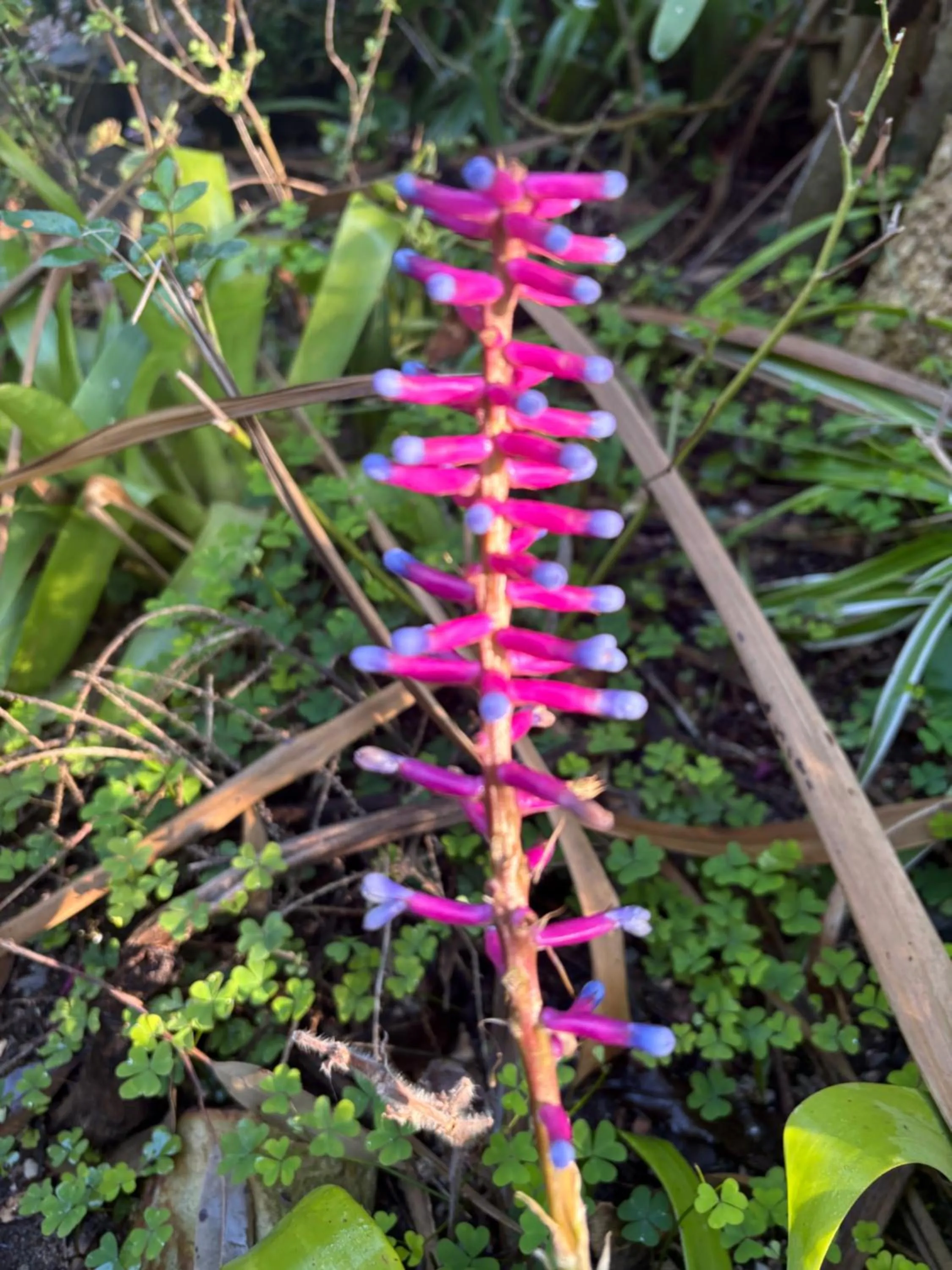 The Castle - Villa by the Sea