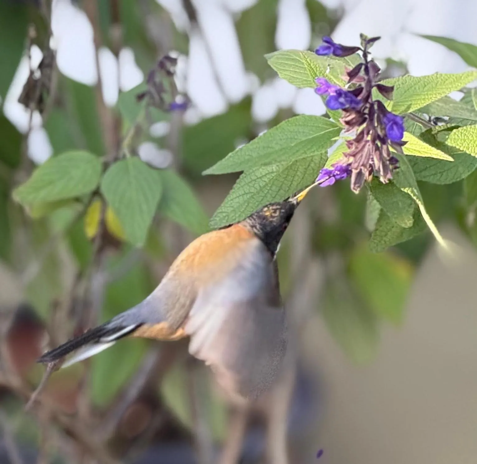 The Castle - Villa by the Sea