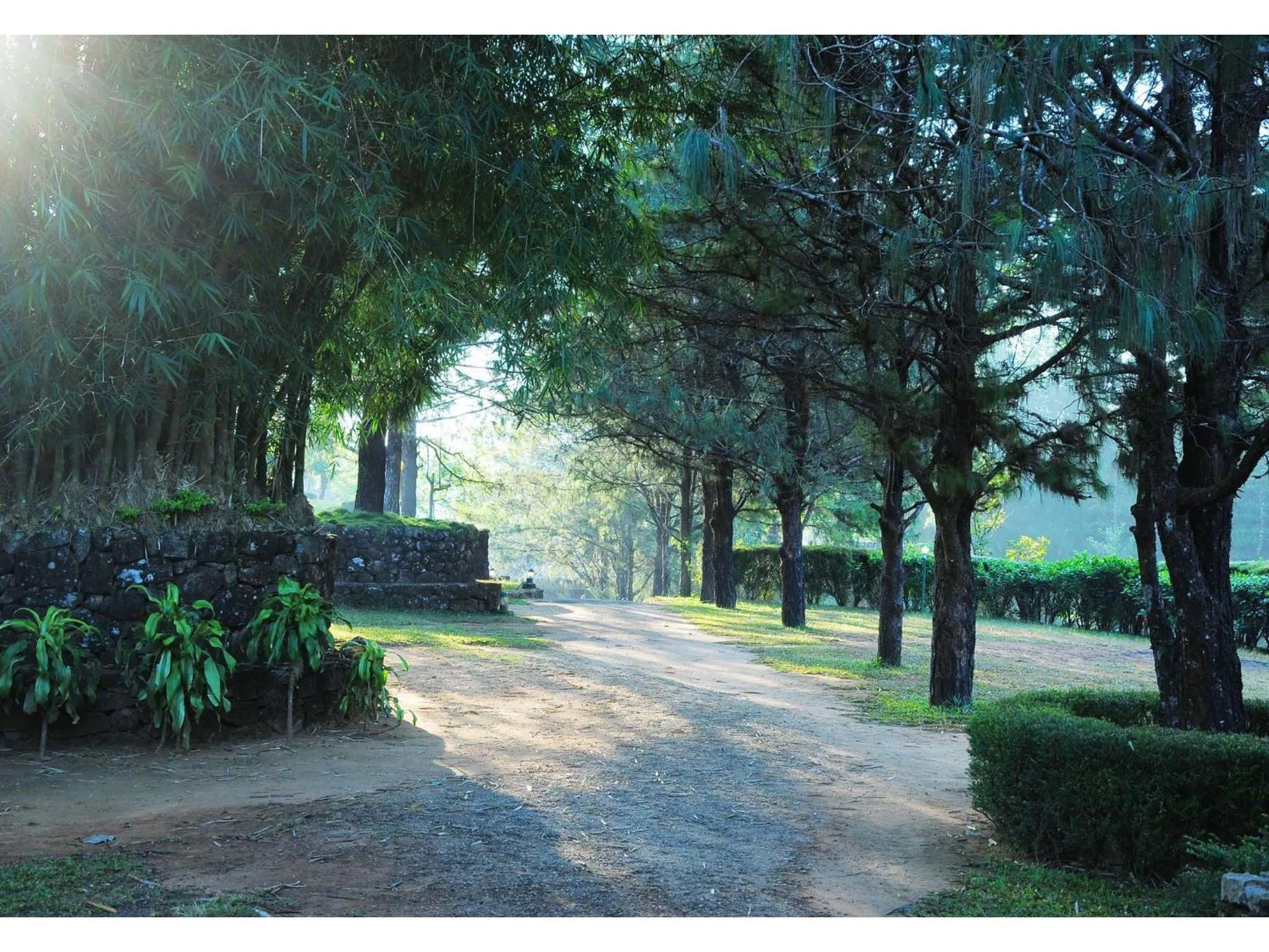 Garden view in Saj Vagamon Hideout