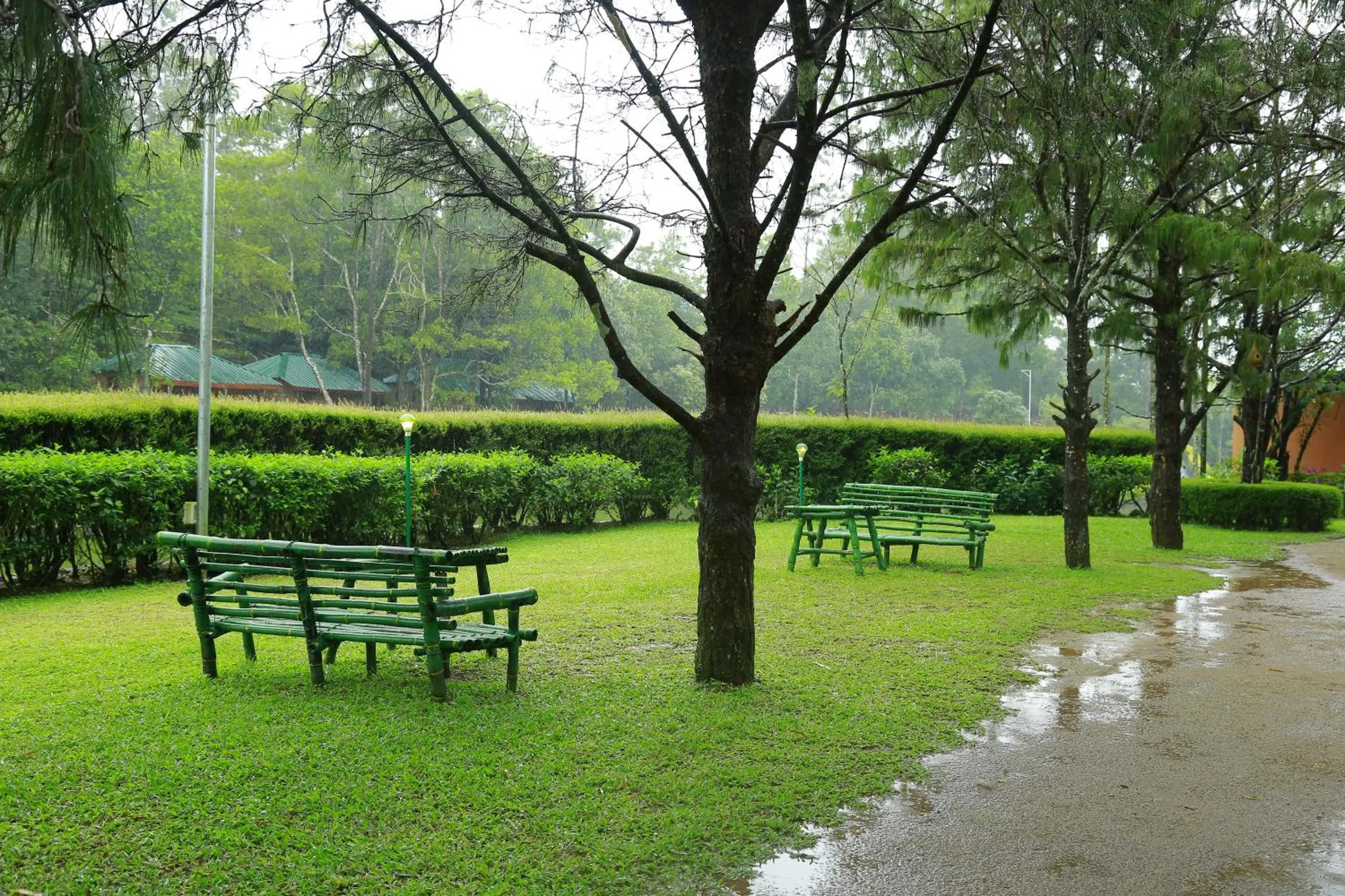 Garden in Saj Vagamon Hideout