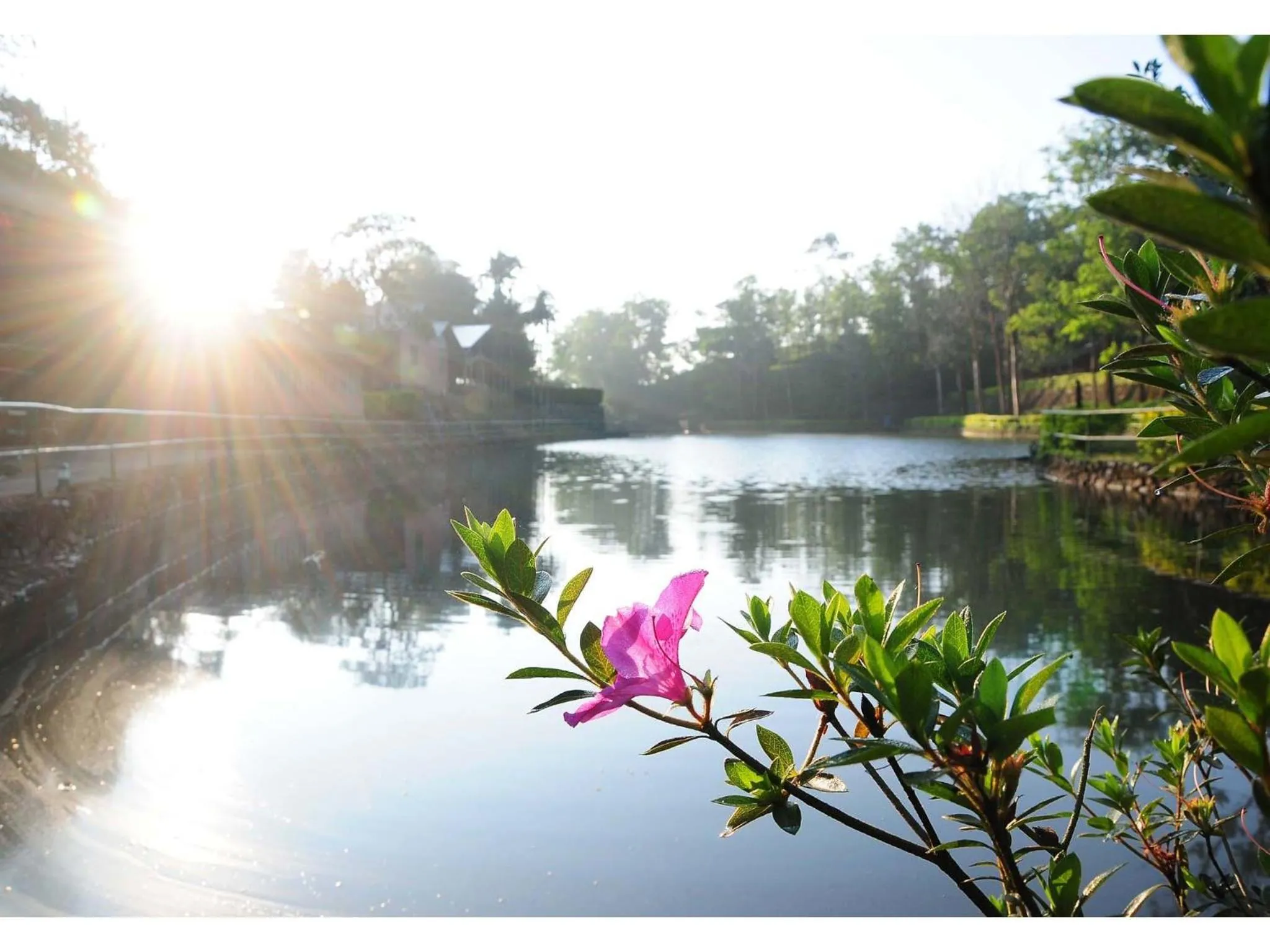 Lake view in Saj Vagamon Hideout