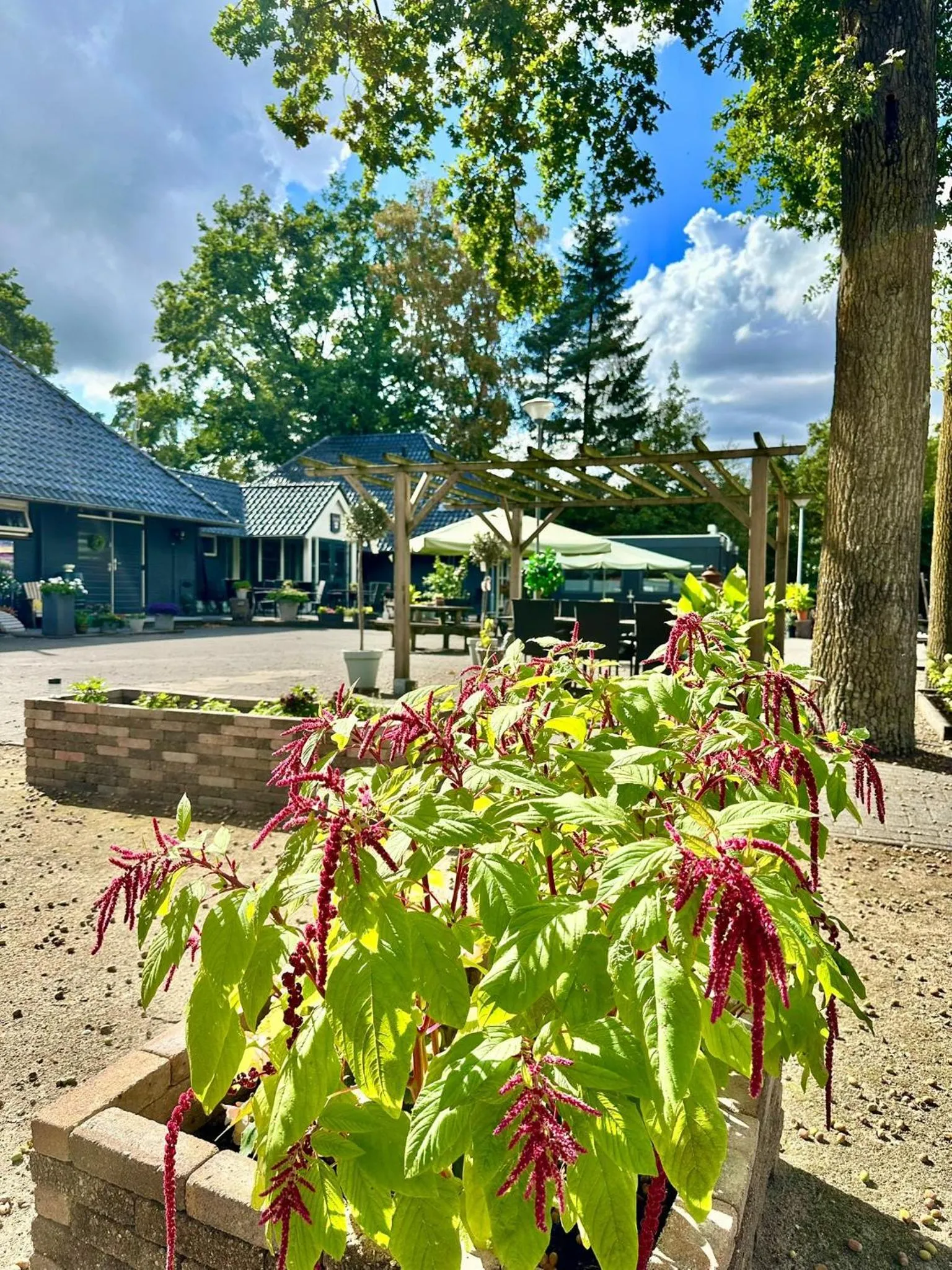 Buffet breakfast in Gasterij Hotel Dennenoord