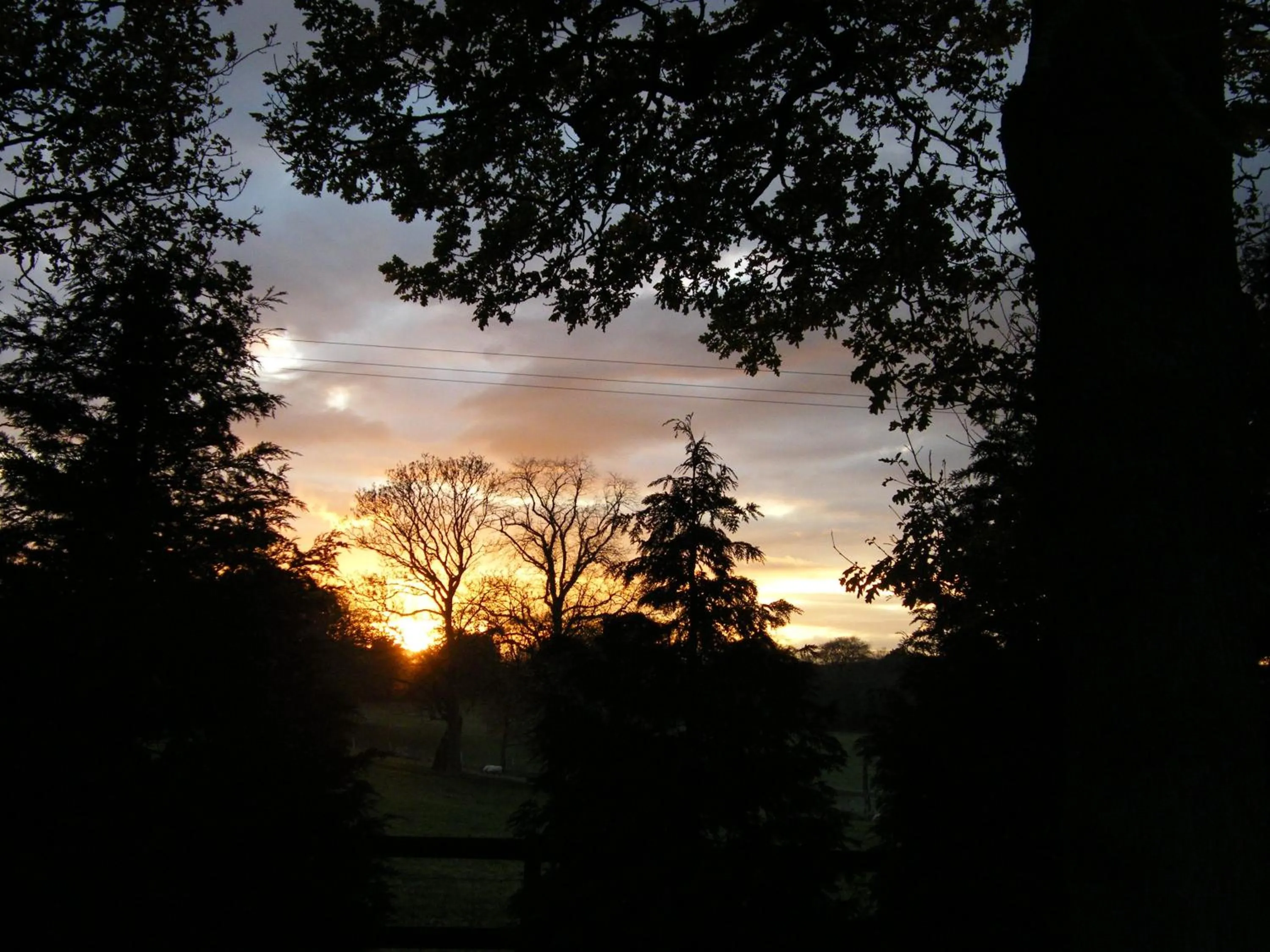 Garden in Arden Country House