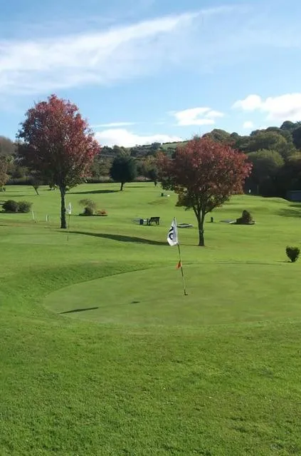 Minigolf in The Old Bank Bruff Family Town House