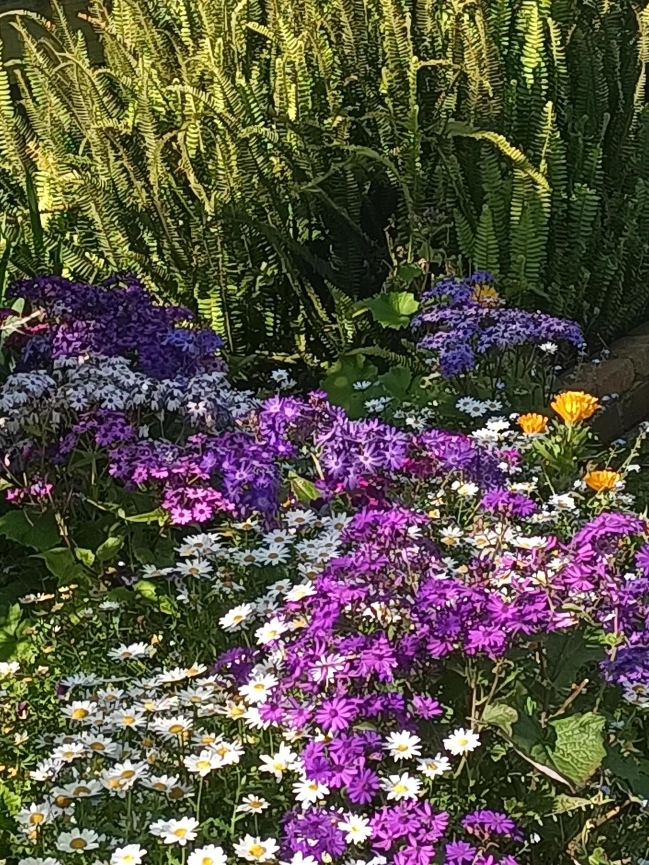 Spring in Fossil Coast B&B