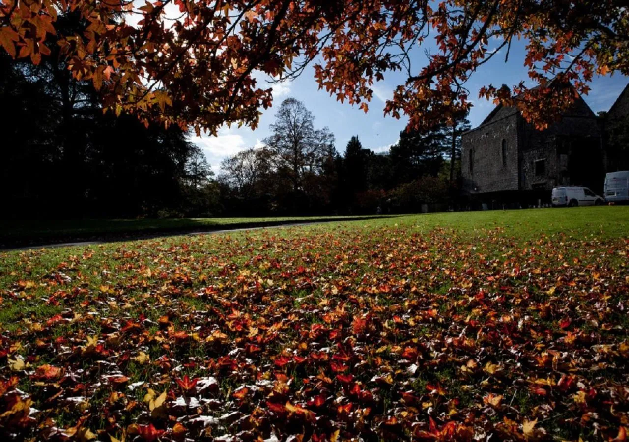 Garden in Dartington Hall