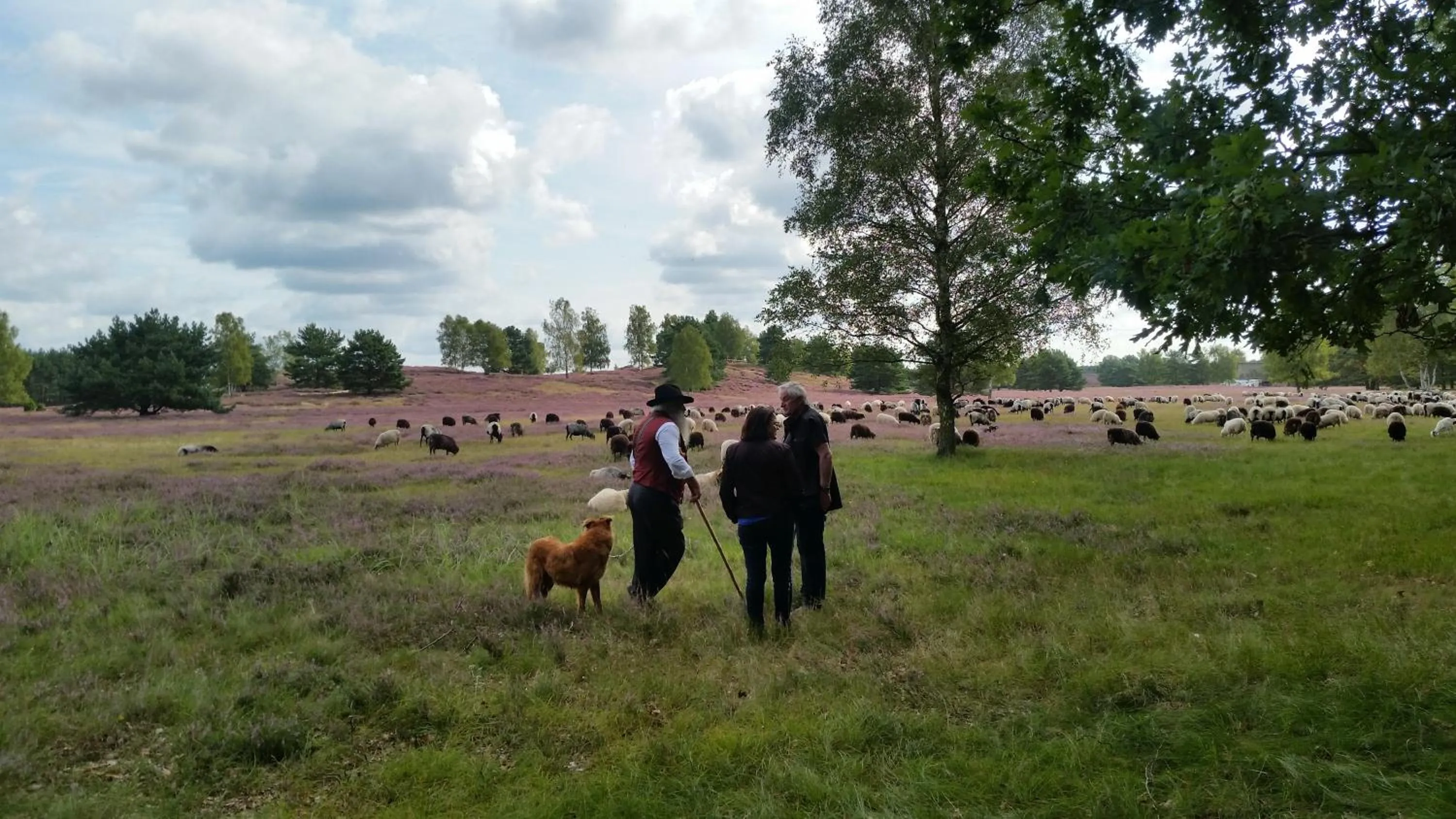 Animals in hotel das deichhaus