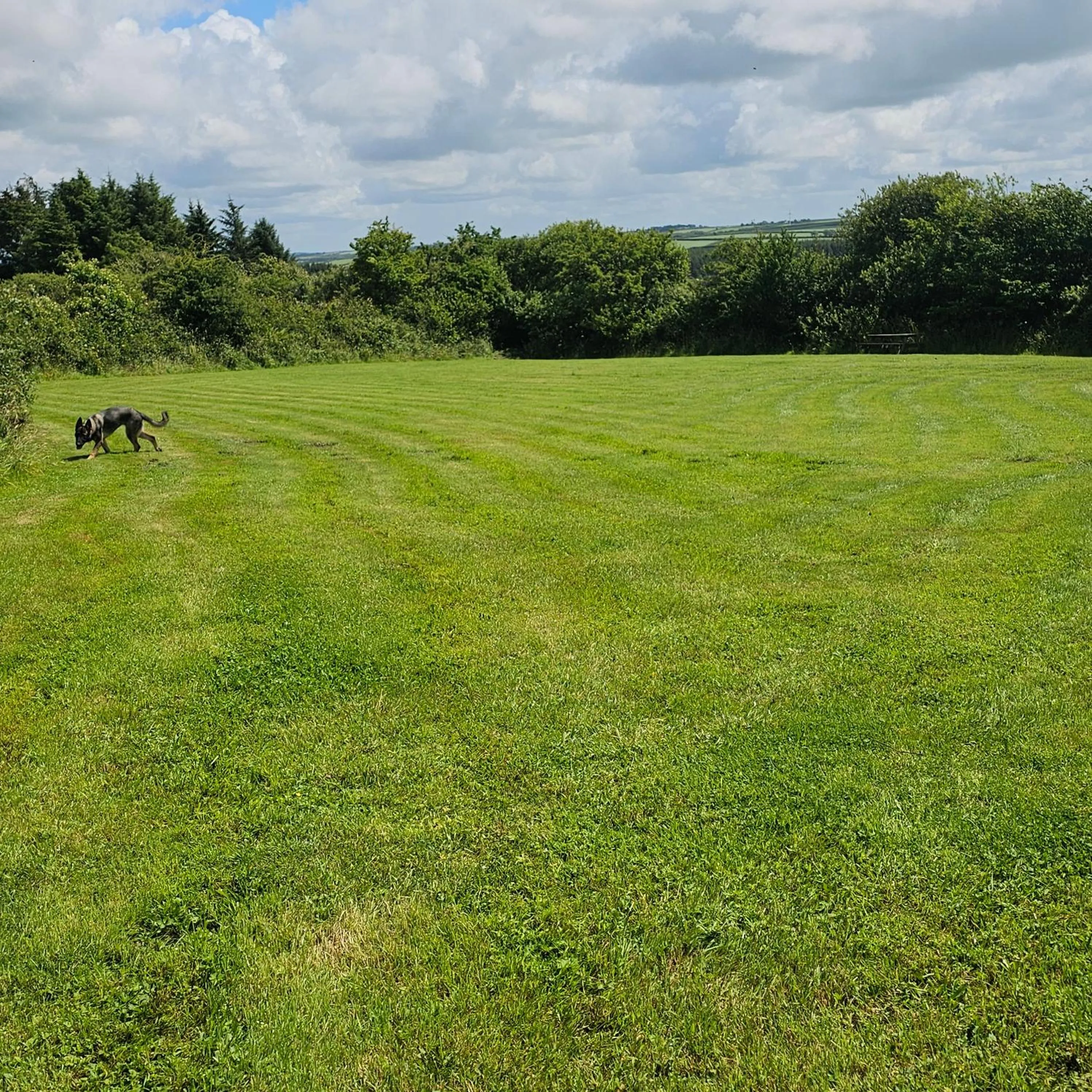 The West Country Inn