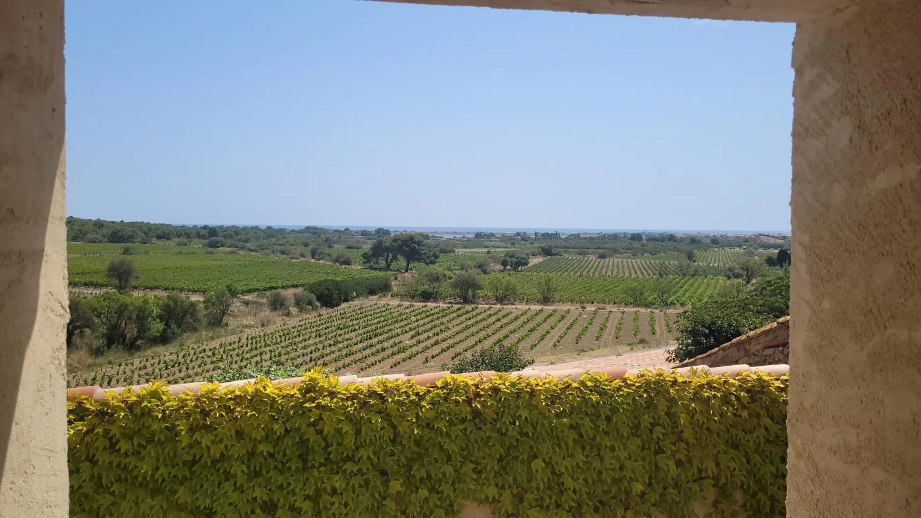 Natural landscape in Château le Bouïs