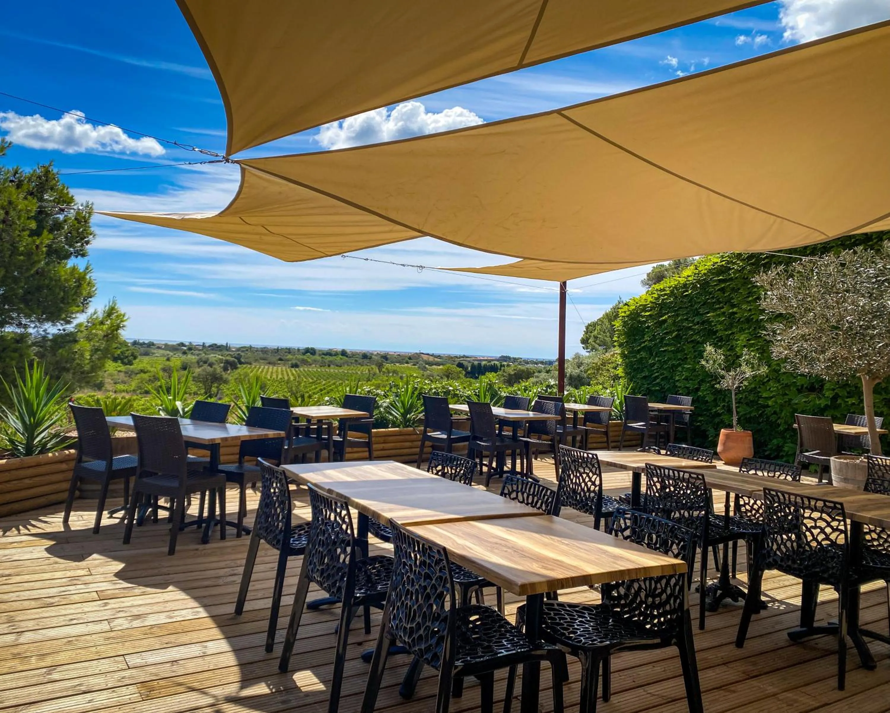 Restaurant/places to eat in Château le Bouïs