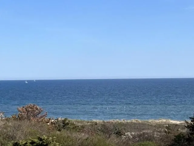 Beach Plum Resort