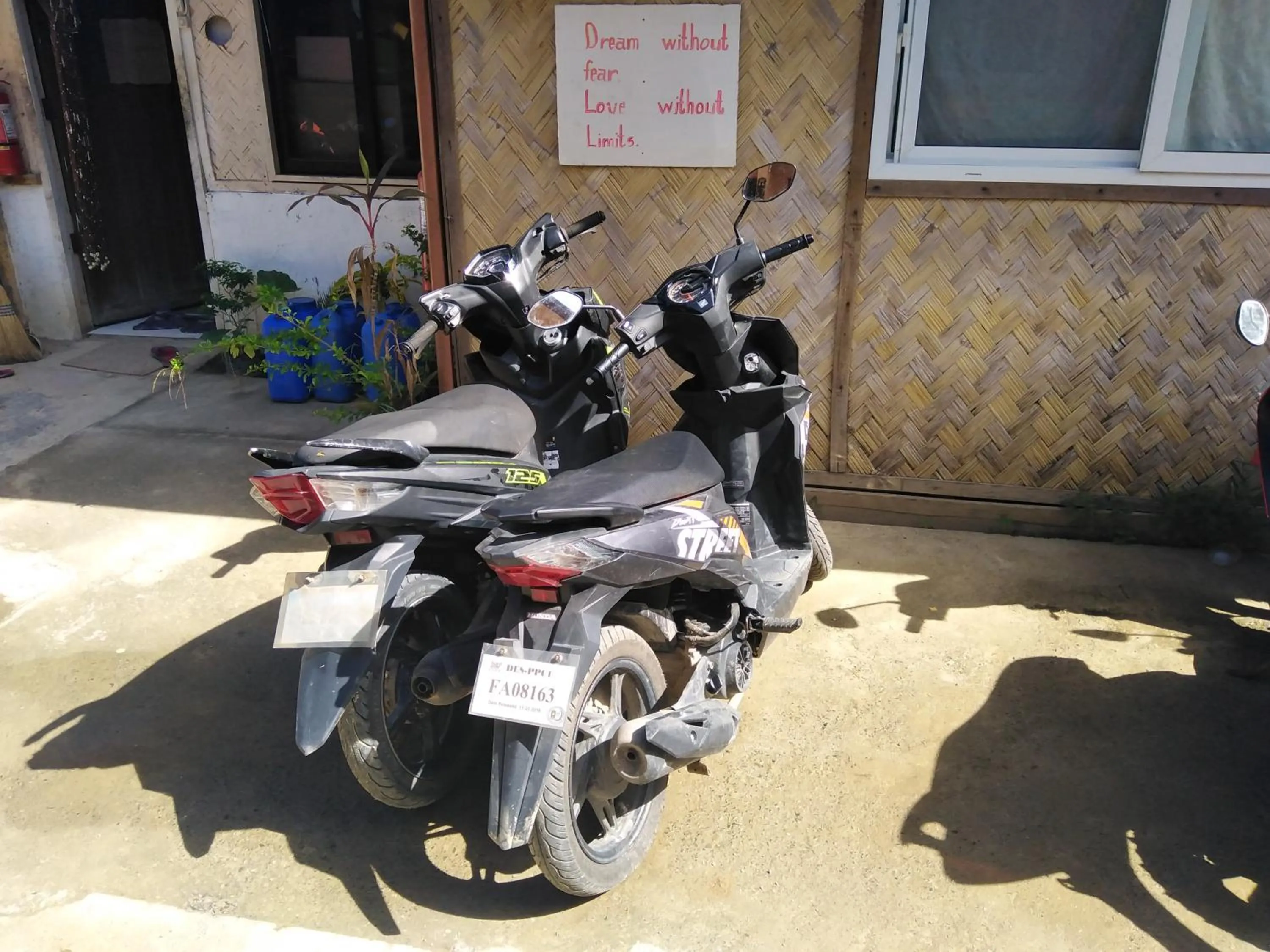 Activities in Sun Valley Hostel