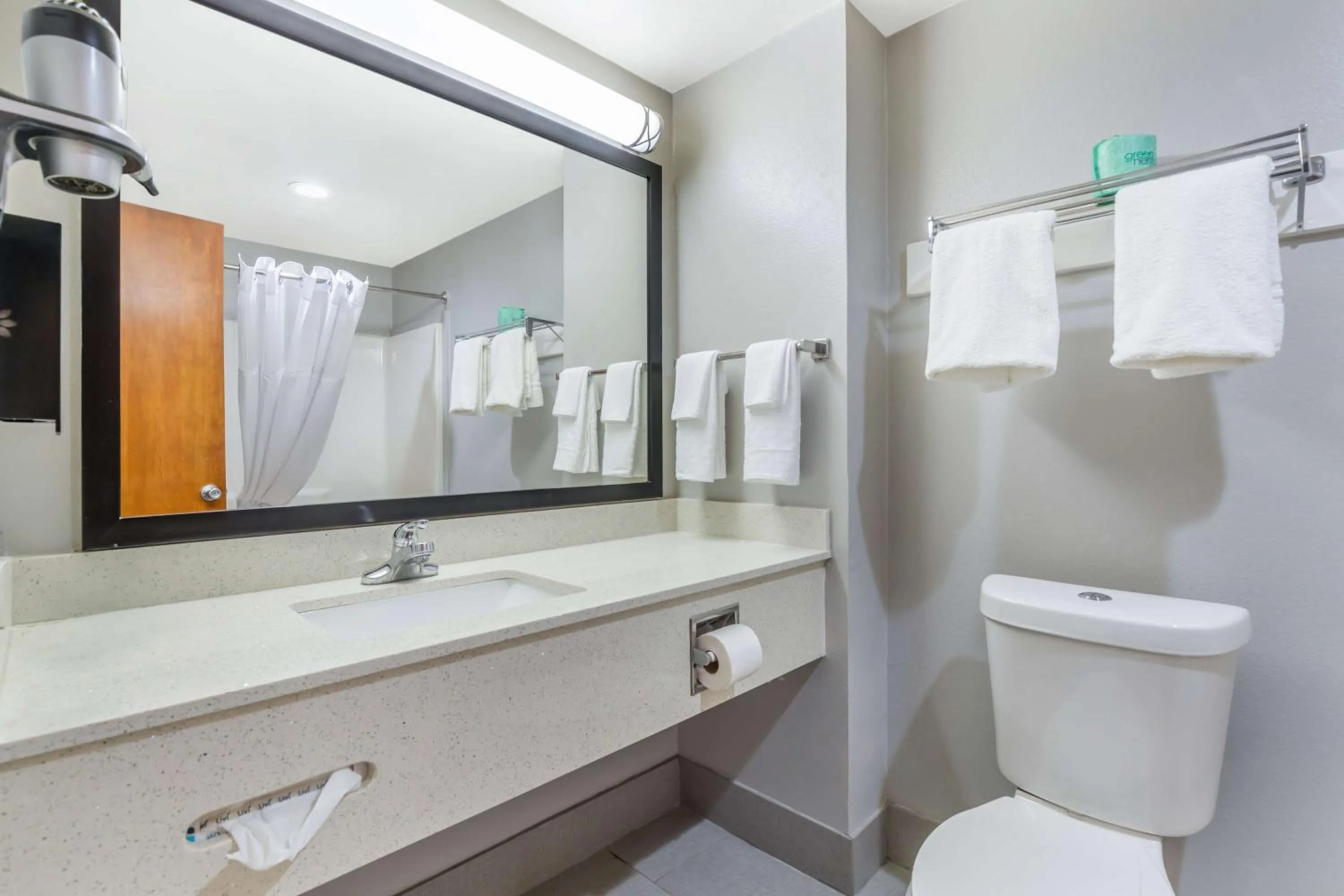 Bathroom in Best Western Port Lavaca Inn